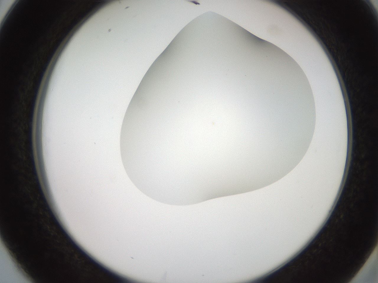 folderID562_plateID2562_batchID12850_wellNum38_profileID1_d2_r195156_ef.jpg