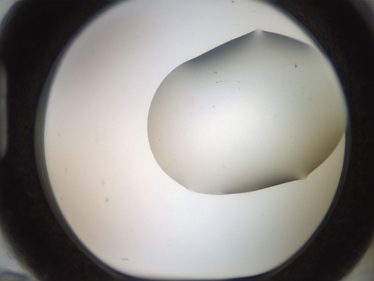 folderID562_plateID2562_batchID12850_wellNum94_profileID1_d1_r195267_ef.jpg