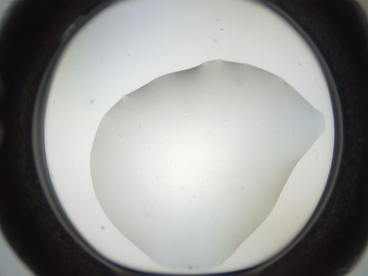 folderID562_plateID2562_batchID13020_wellNum28_profileID1_d1_r195135_ef.jpg
