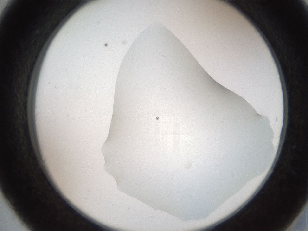 folderID562_plateID2562_batchID13020_wellNum30_profileID1_d2_r195140_ef.jpg
