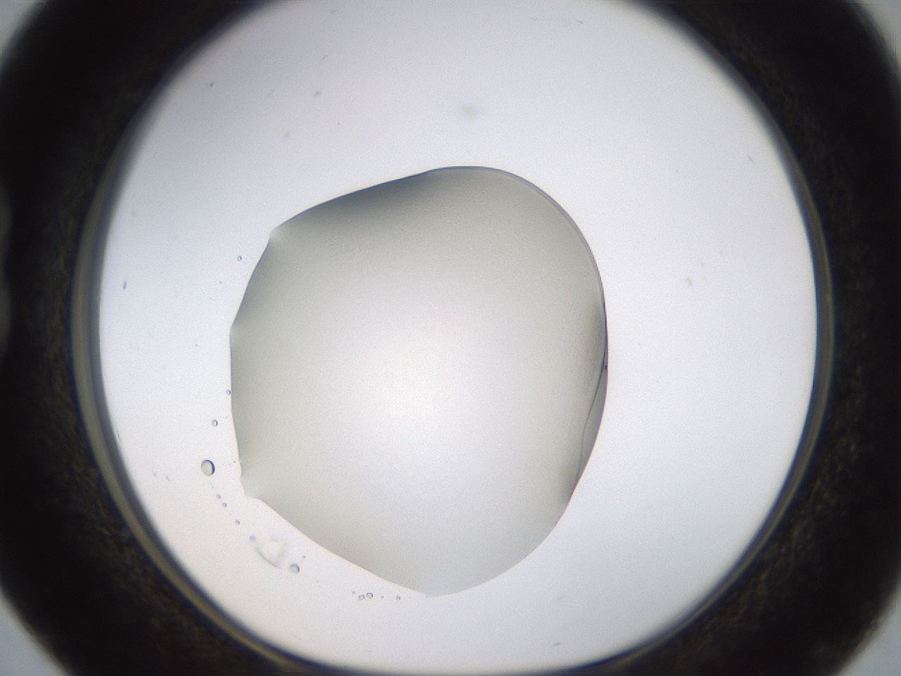 folderID563_plateID1563_batchID6310_wellNum16_profileID1_d1_r101682_ef.jpg