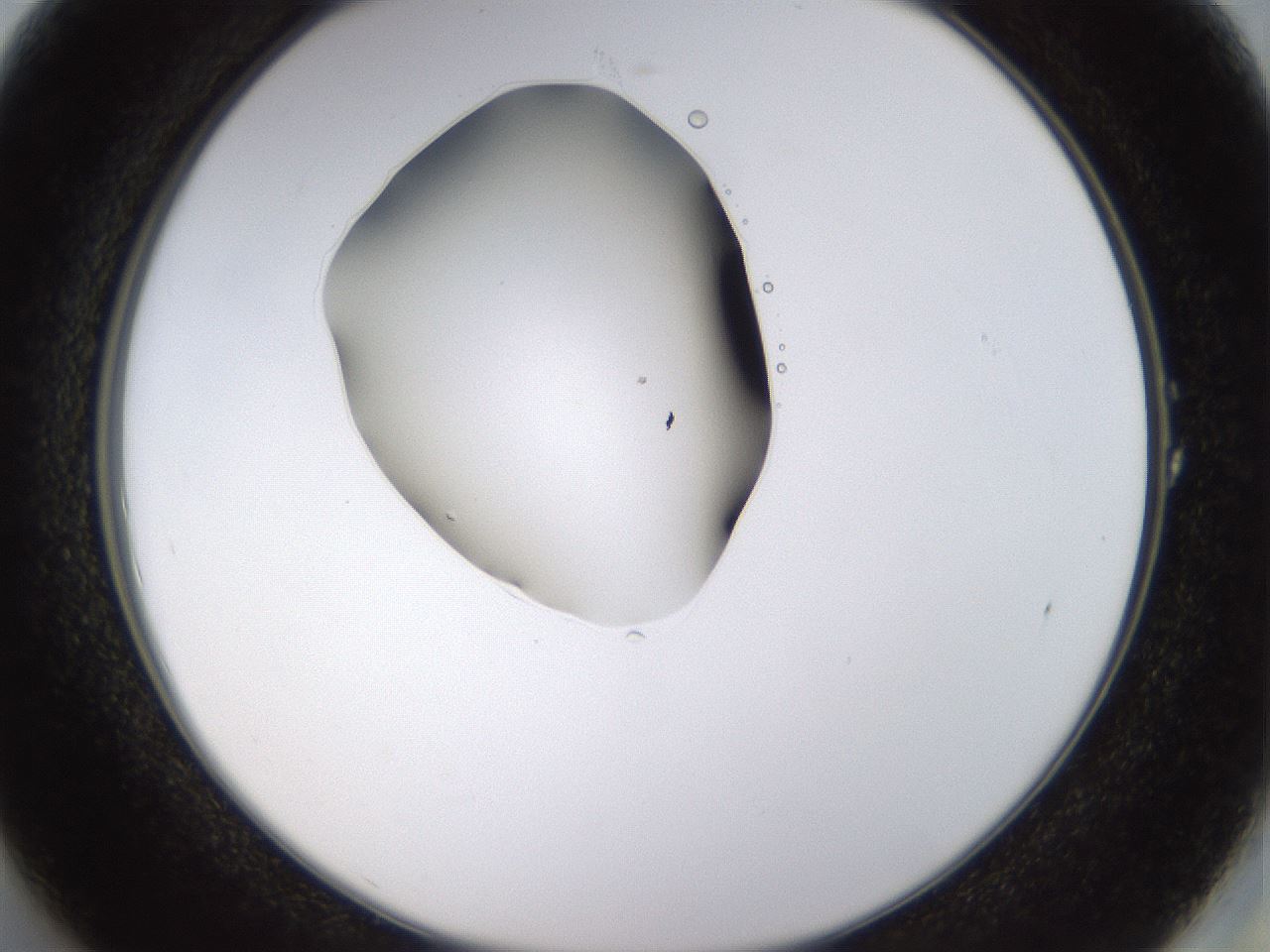 folderID563_plateID1563_batchID6310_wellNum1_profileID1_d2_r101653_ef.jpg