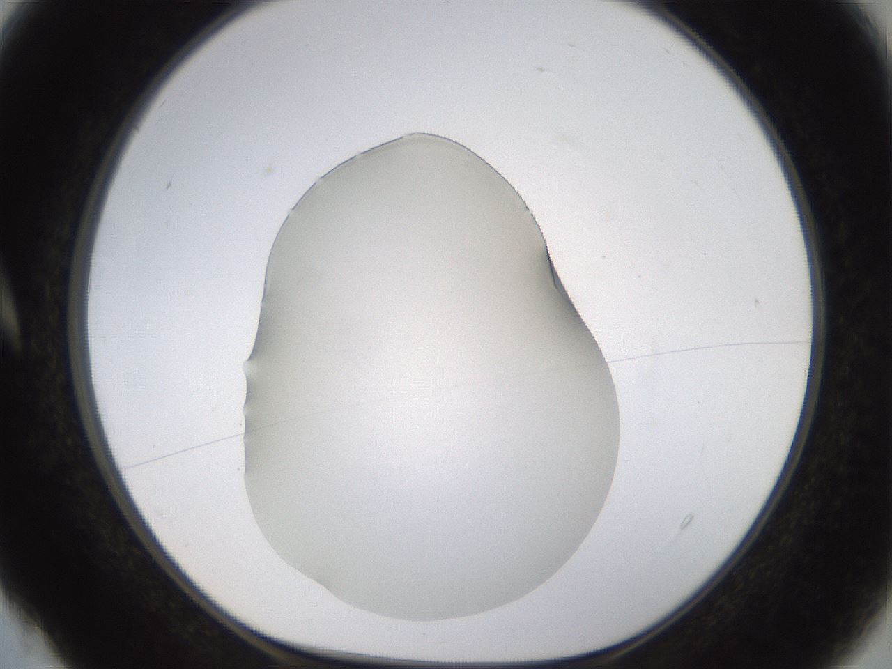 folderID563_plateID1563_batchID6310_wellNum4_profileID1_d1_r101658_ef.jpg