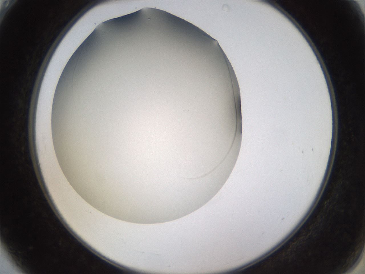 folderID563_plateID1563_batchID6310_wellNum4_profileID1_d2_r101659_ef.jpg