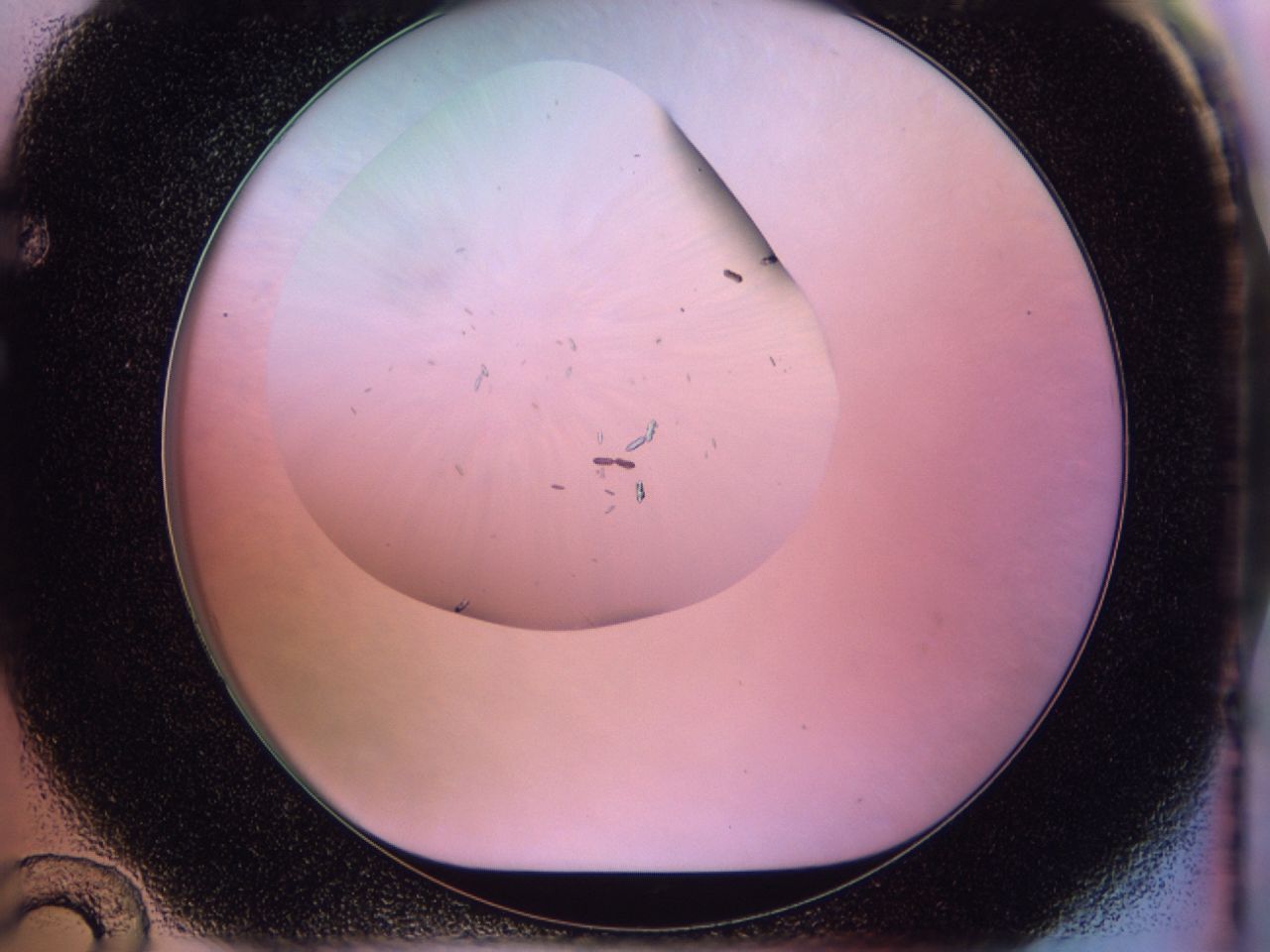 02no_F12_ImagerDefaults_6.jpg