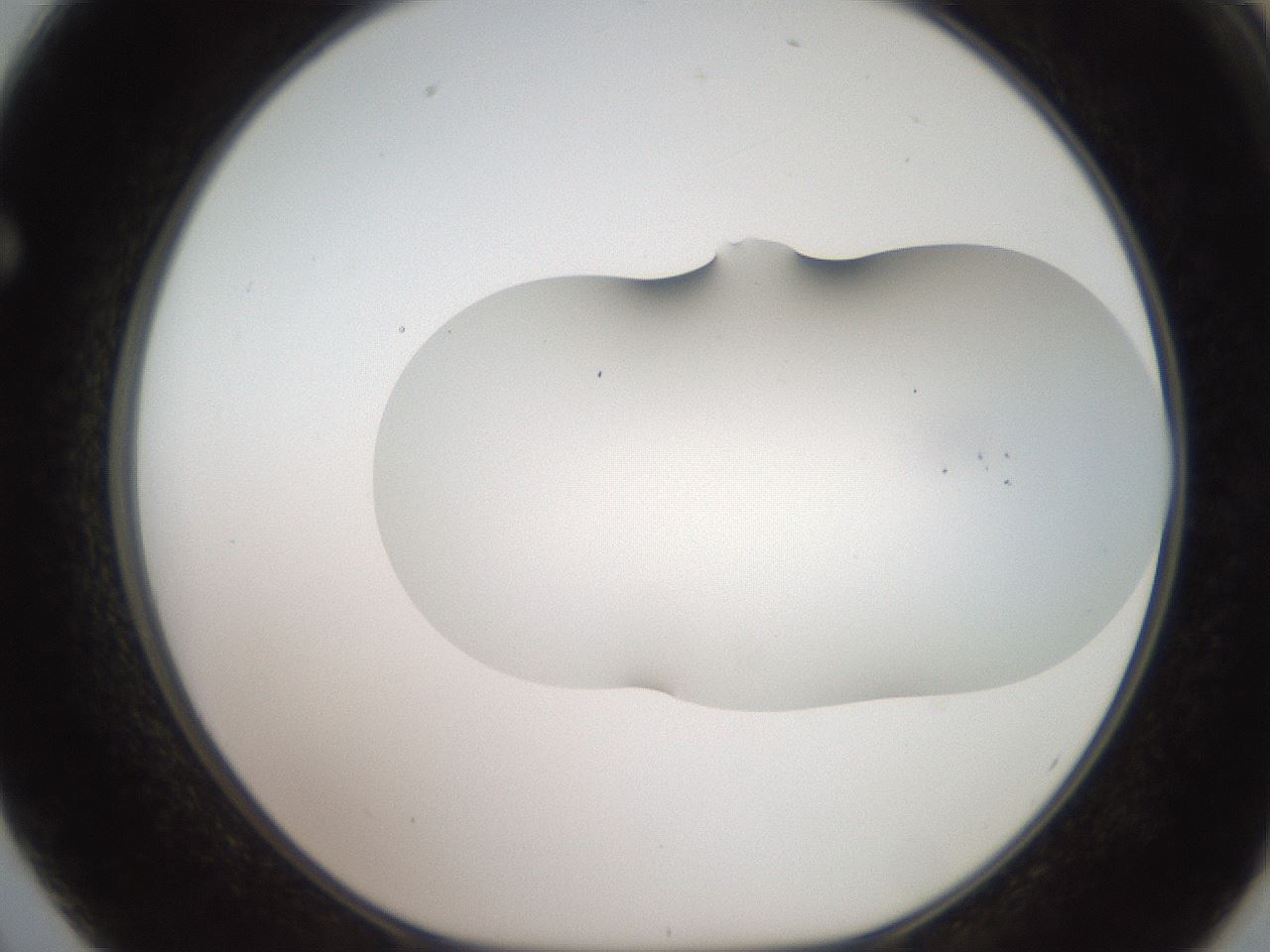 folderID563_plateID2563_batchID12852_wellNum62_profileID1_d1_r195334_ef.jpg