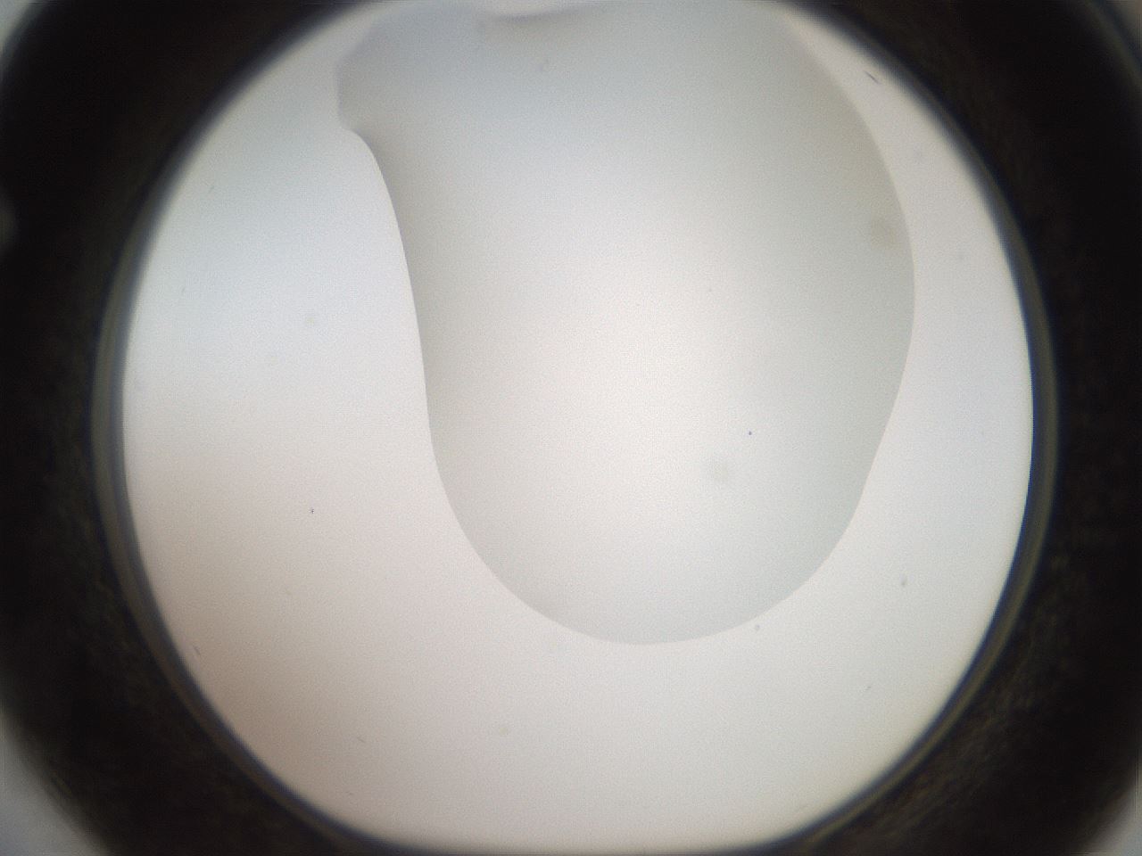 folderID563_plateID2563_batchID12852_wellNum64_profileID1_d1_r195336_ef.jpg