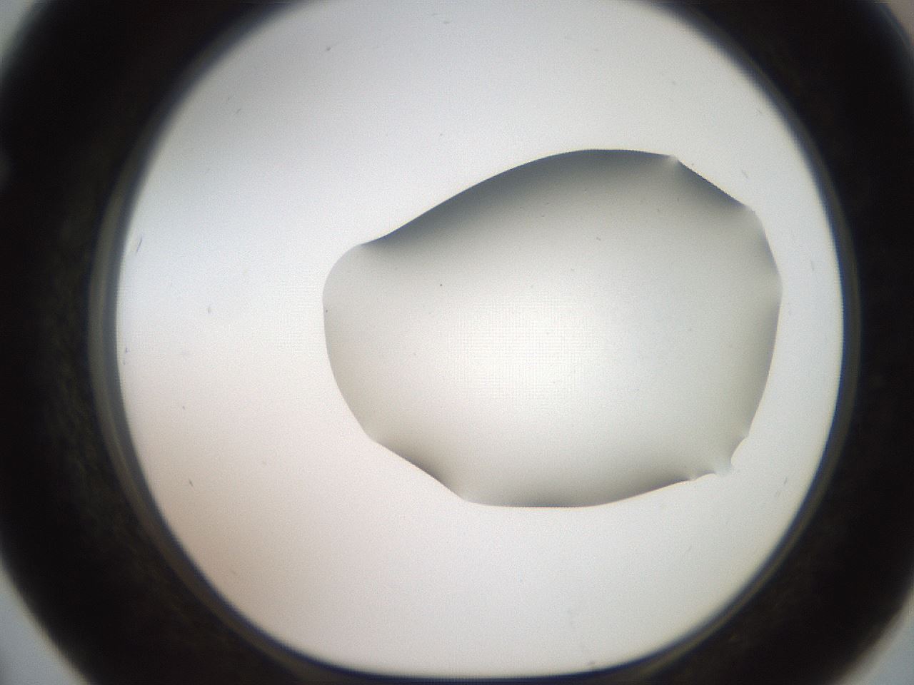 folderID563_plateID2563_batchID12852_wellNum67_profileID1_d1_r195339_ef.jpg