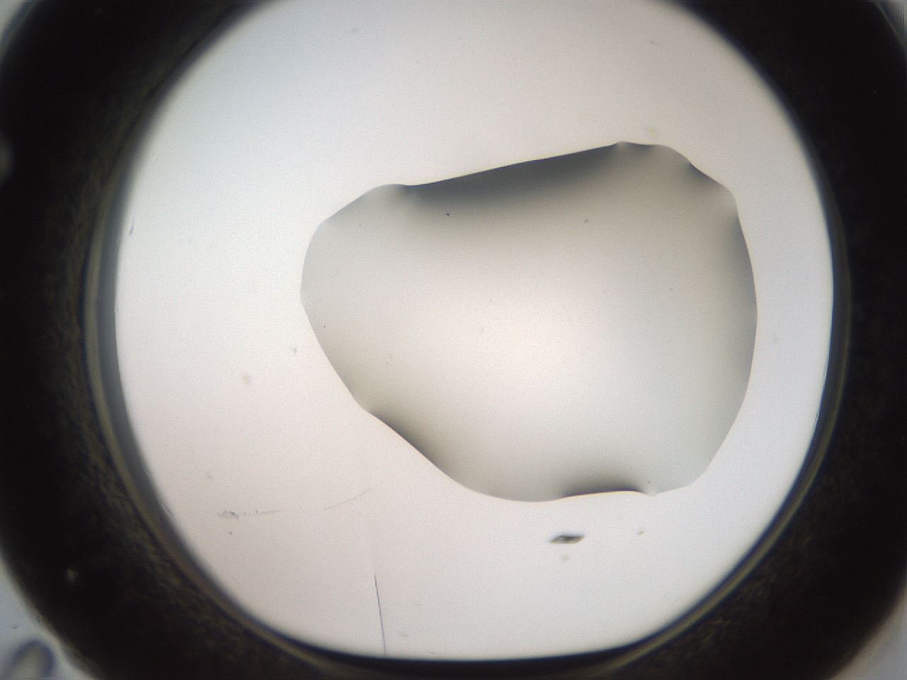 folderID563_plateID2563_batchID12852_wellNum71_profileID1_d1_r195343_ef.jpg