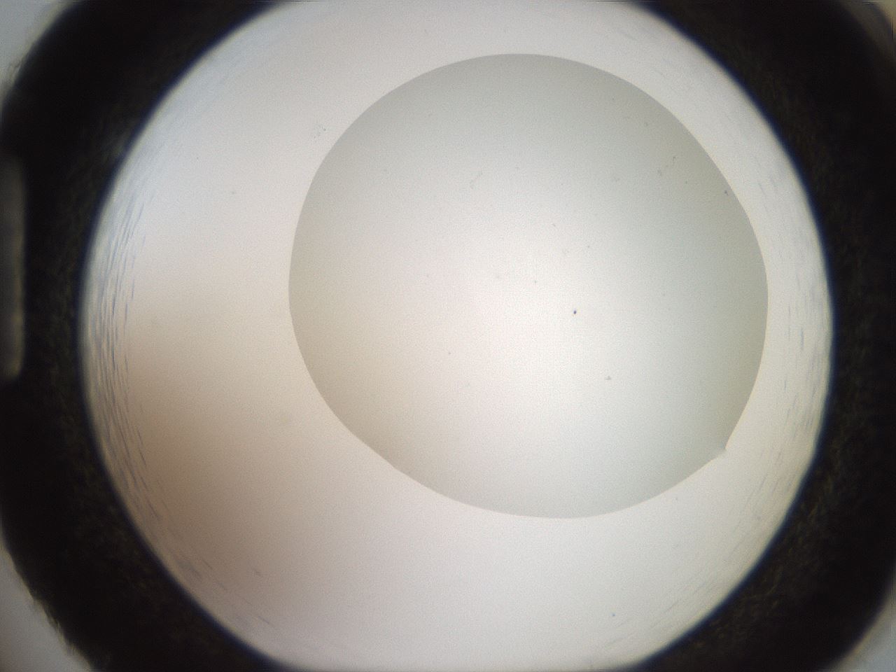 folderID563_plateID2563_batchID12852_wellNum86_profileID1_d1_r195358_ef.jpg