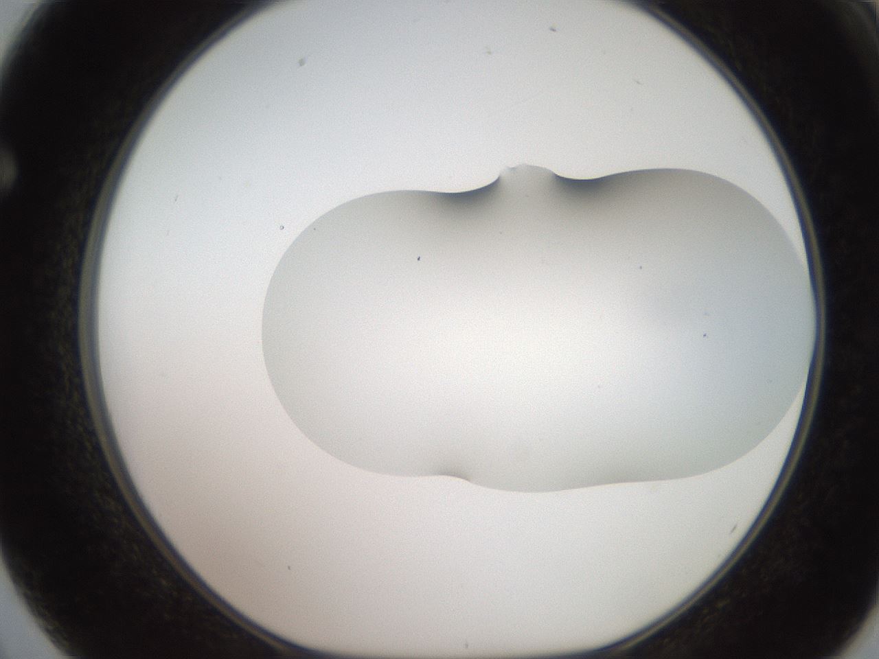 folderID563_plateID2563_batchID13021_wellNum62_profileID1_d1_r195334_ef.jpg