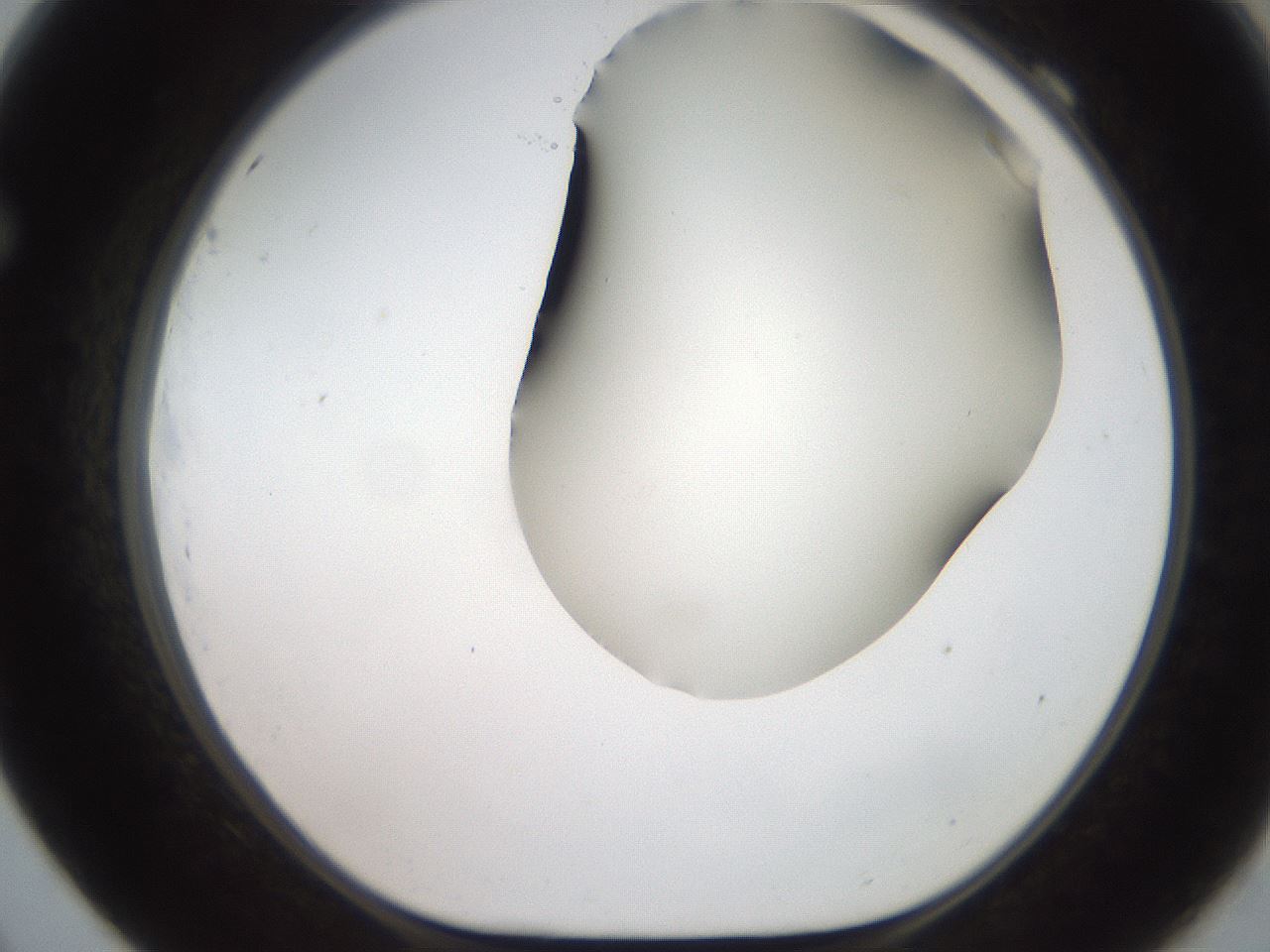 folderID563_plateID2563_batchID13021_wellNum69_profileID1_d1_r195341_ef.jpg