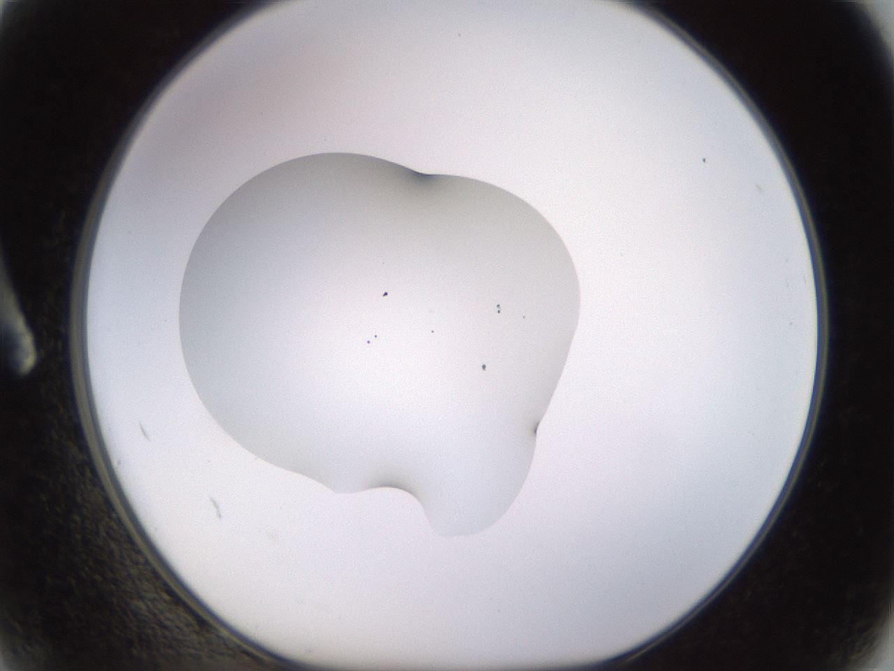 folderID564_plateID1564_batchID6311_wellNum2_profileID1_d1_r101846_ef.jpg