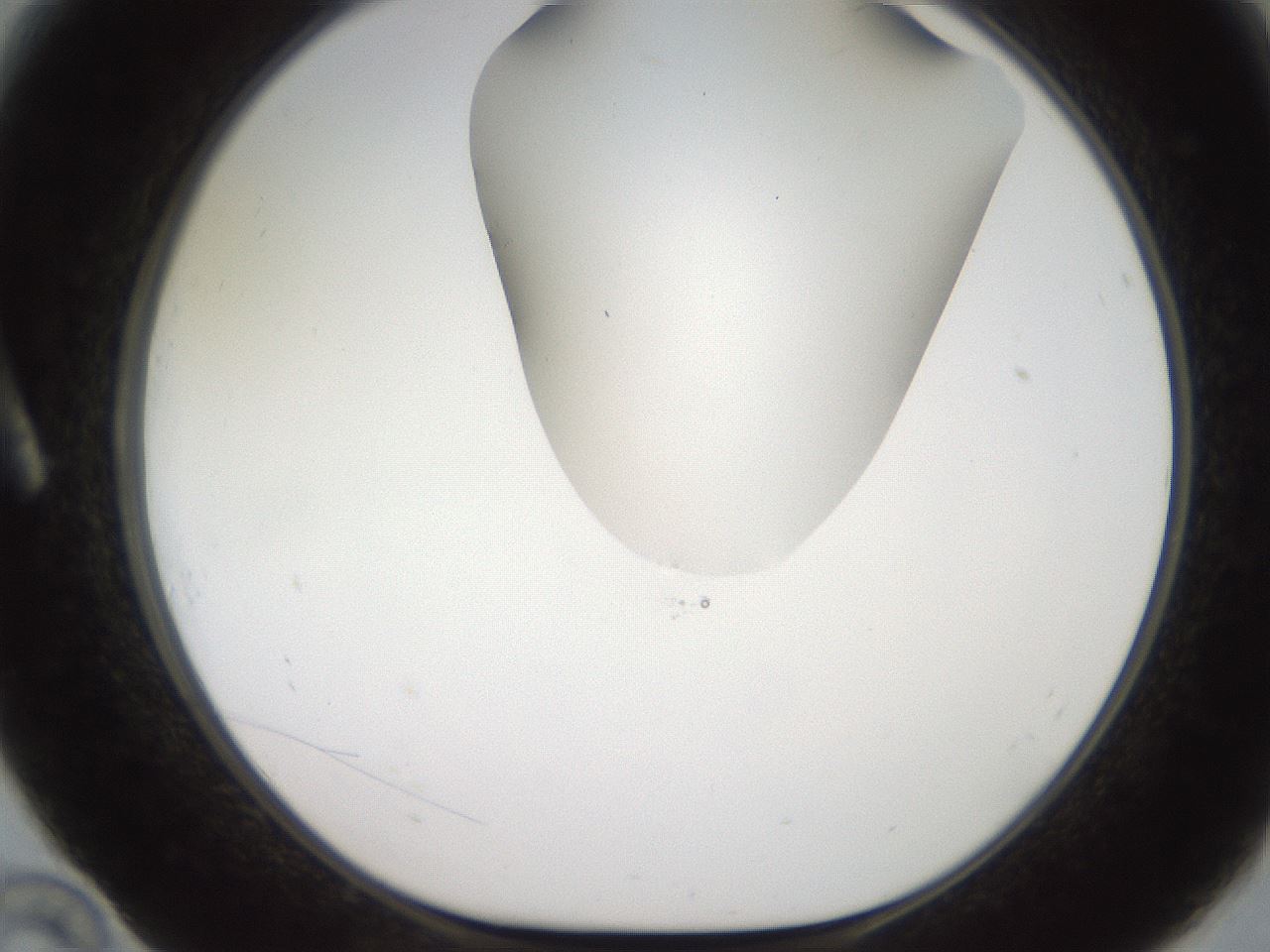 folderID564_plateID2564_batchID12853_wellNum10_profileID1_d1_r195378_ef.jpg