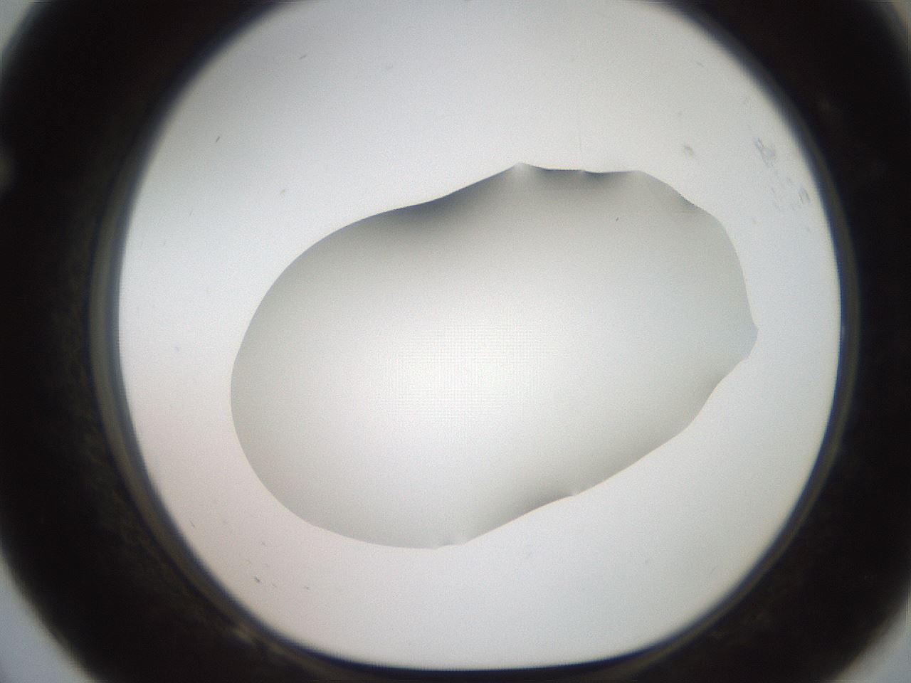 folderID564_plateID2564_batchID12853_wellNum68_profileID1_d1_r195436_ef.jpg