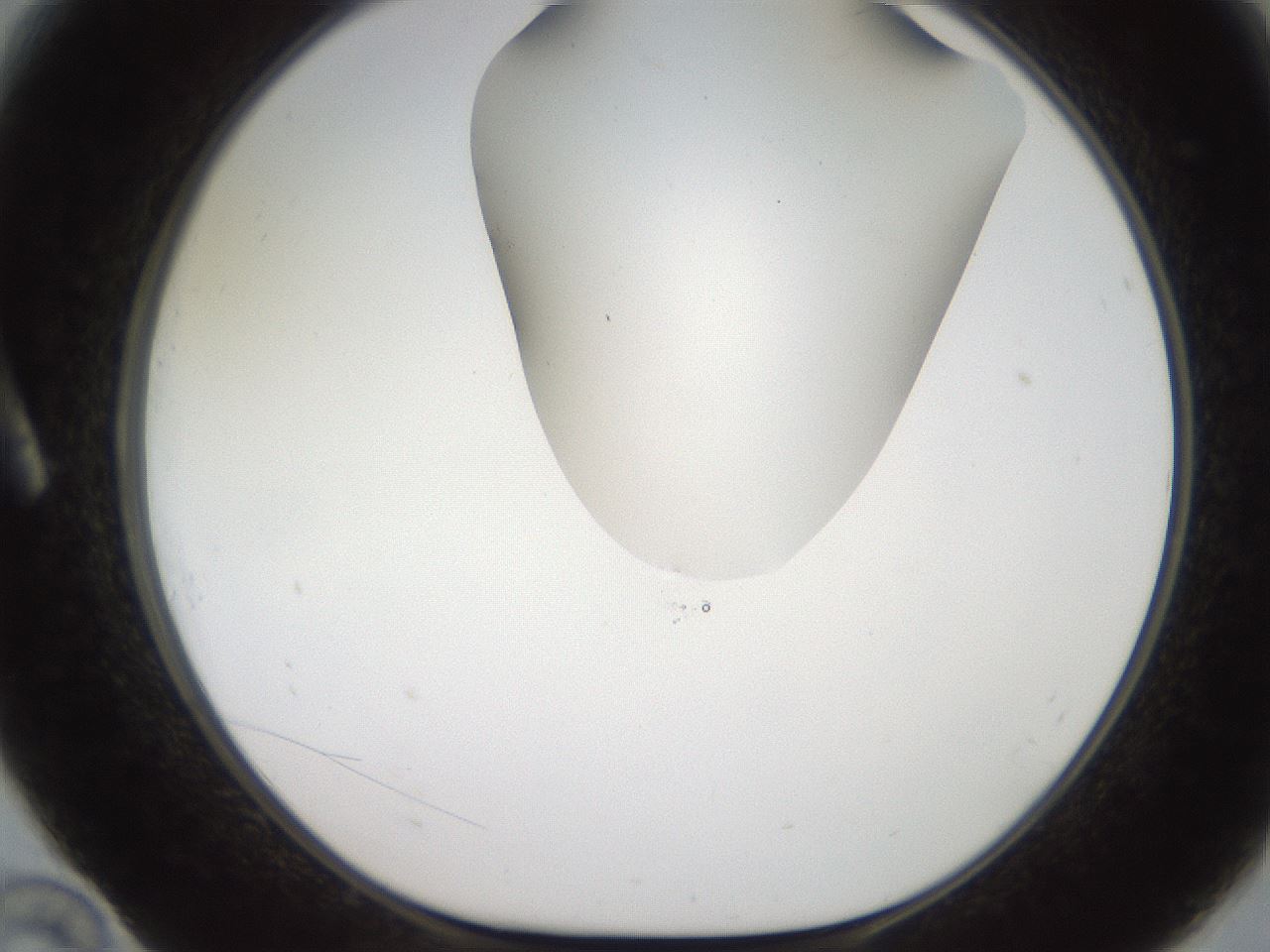 folderID564_plateID2564_batchID13022_wellNum10_profileID1_d1_r195378_ef.jpg