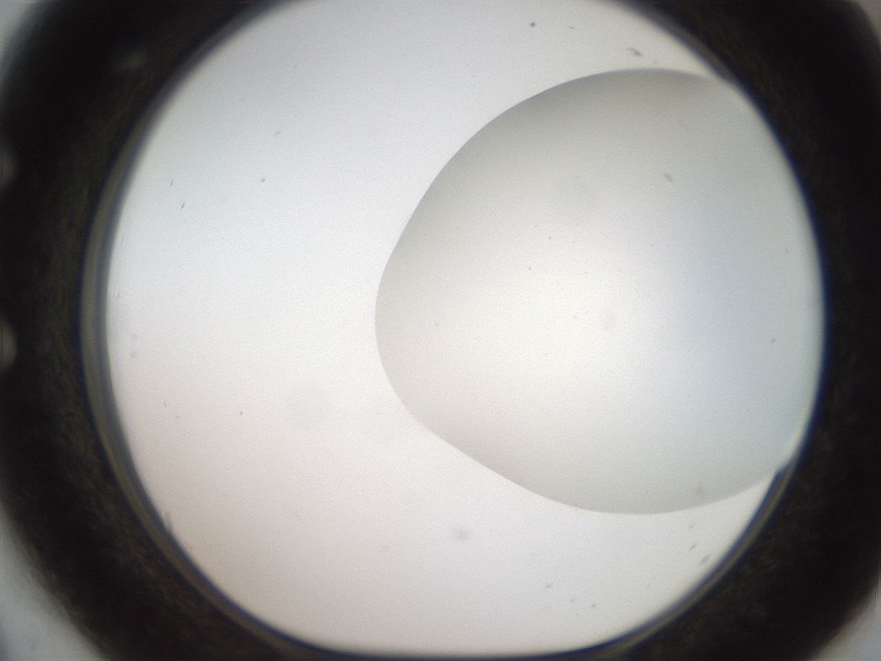 folderID564_plateID2564_batchID13022_wellNum54_profileID1_d1_r195422_ef.jpg