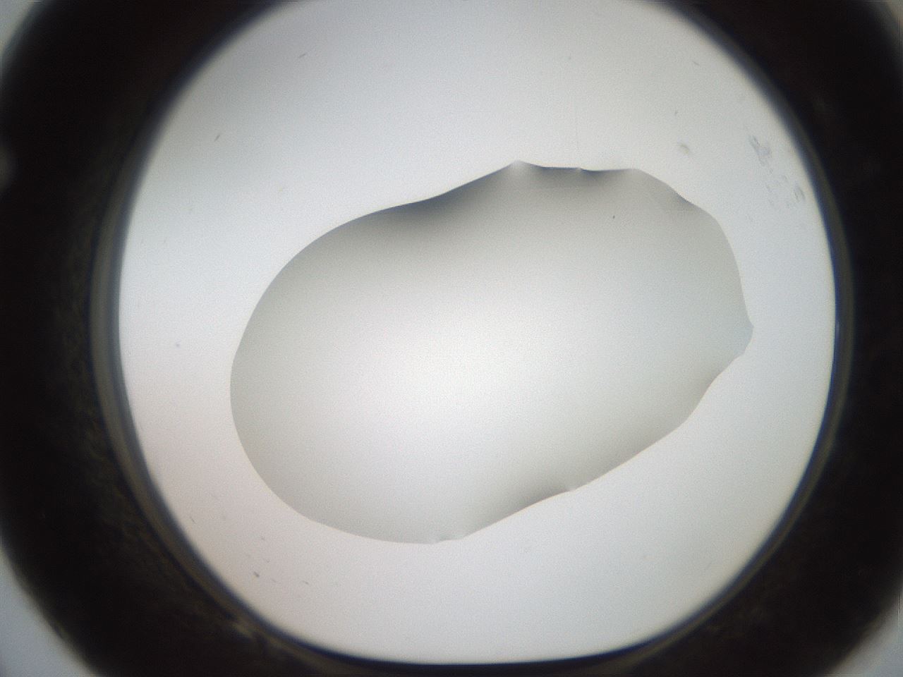 folderID564_plateID2564_batchID13022_wellNum68_profileID1_d1_r195436_ef.jpg