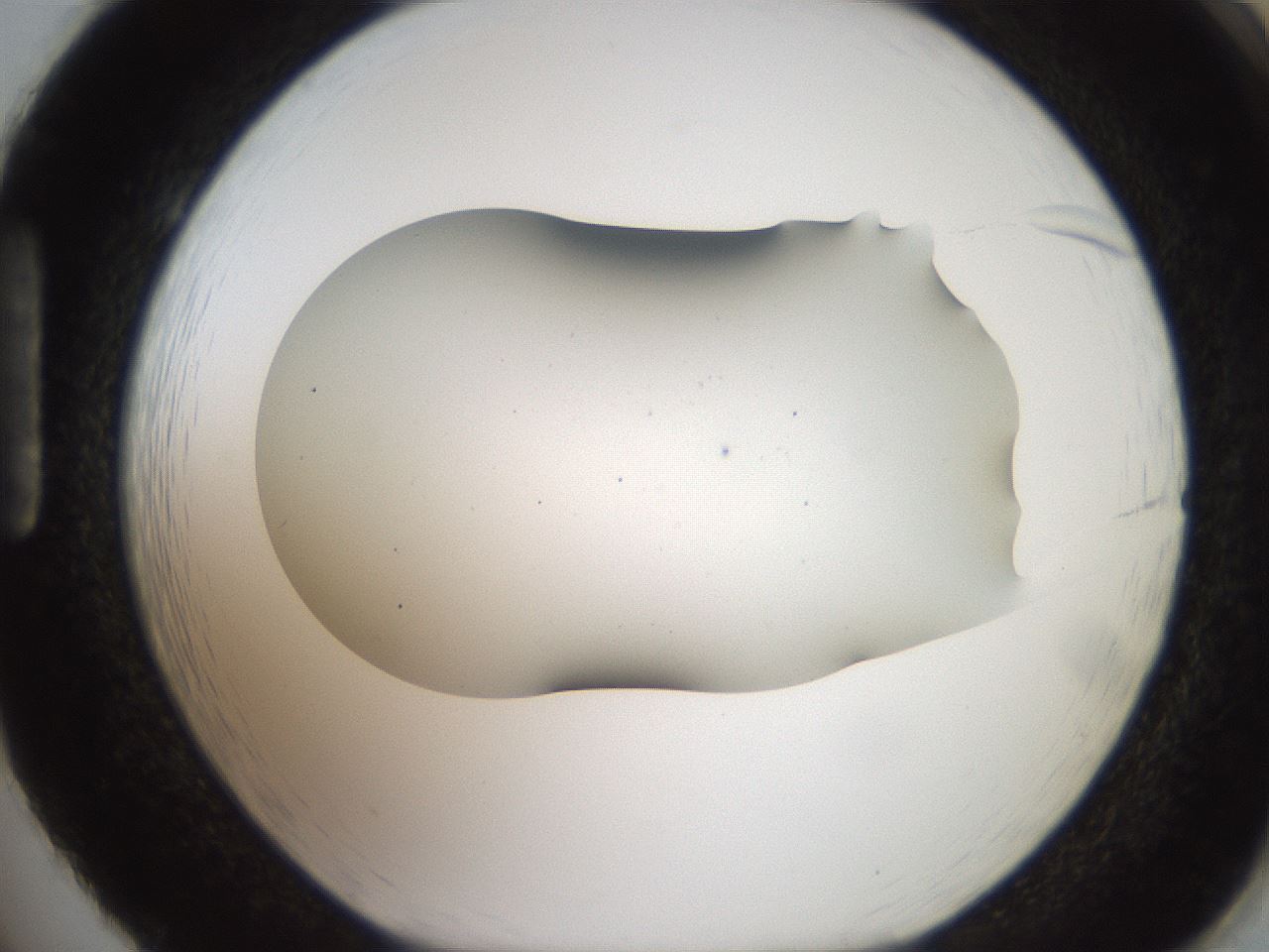 folderID564_plateID2564_batchID13022_wellNum86_profileID1_d1_r195454_ef.jpg