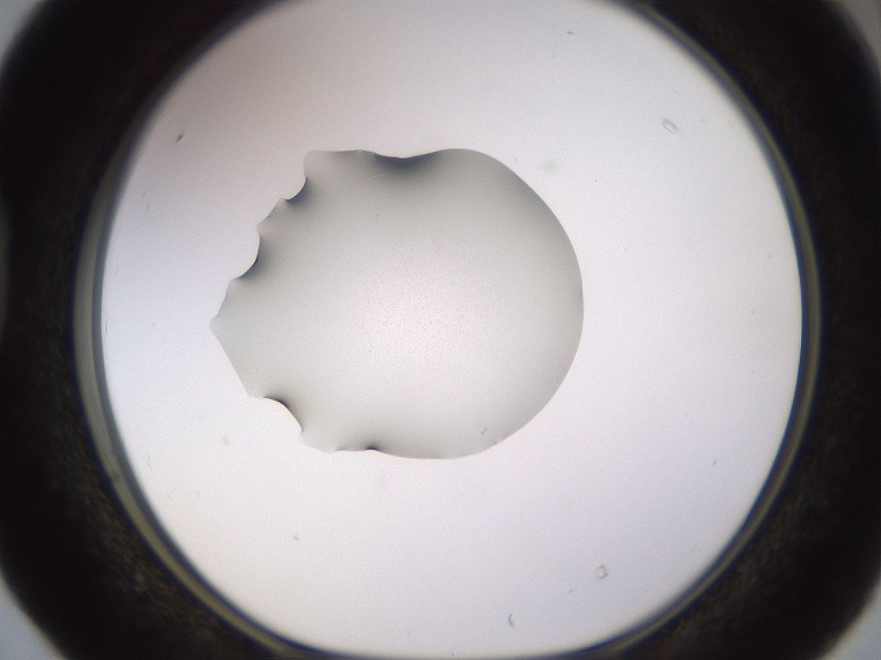 folderID565_plateID1565_batchID6312_wellNum40_profileID1_d1_r102114_ef.jpg