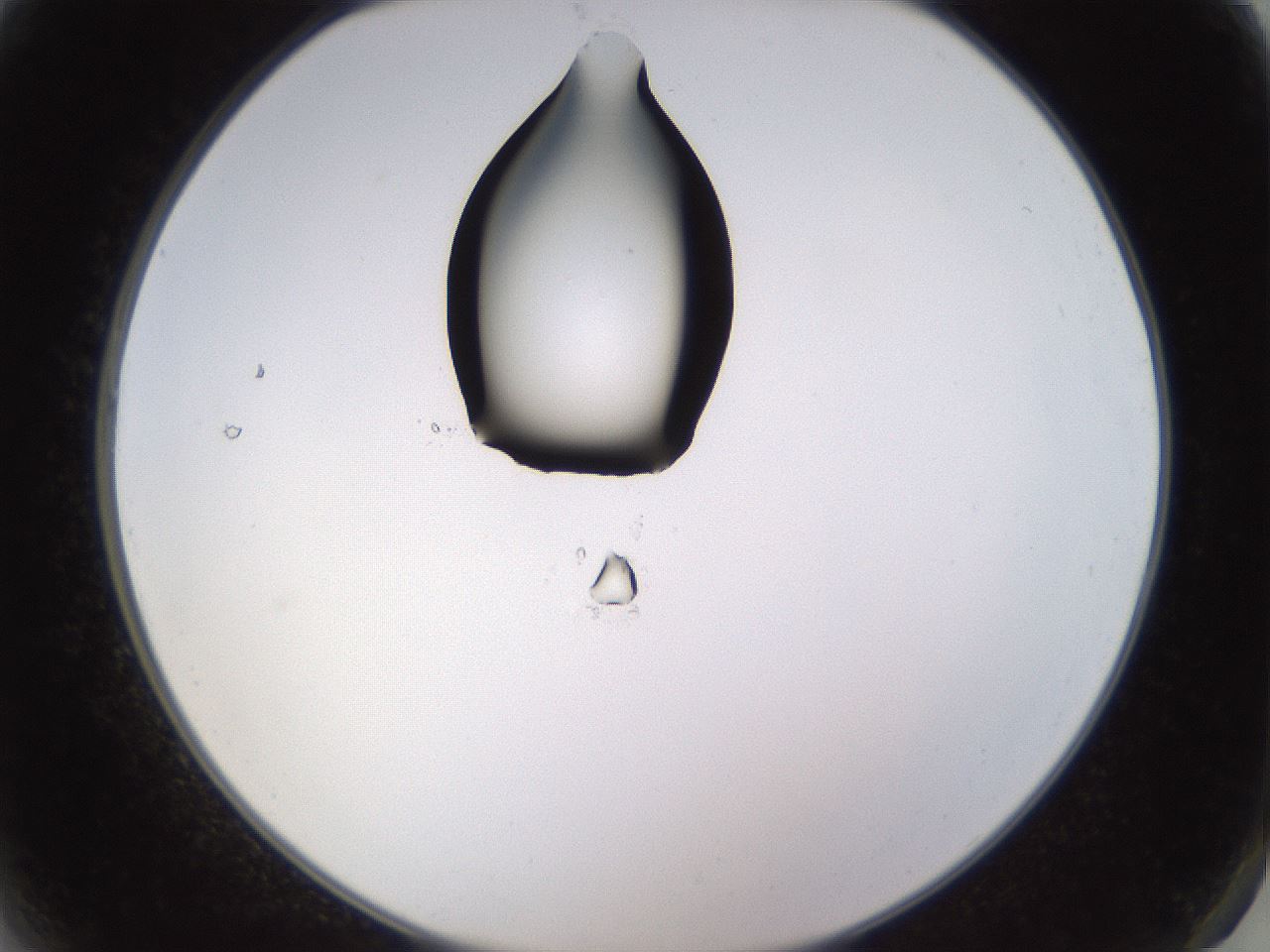 folderID565_plateID1565_batchID6312_wellNum2_profileID1_d2_r102039_ef.jpg