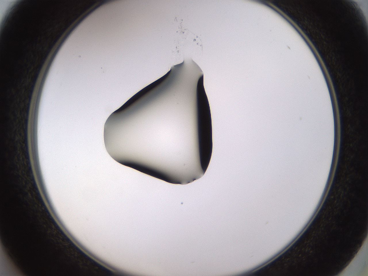 folderID565_plateID1565_batchID6312_wellNum37_profileID1_d2_r102109_ef.jpg