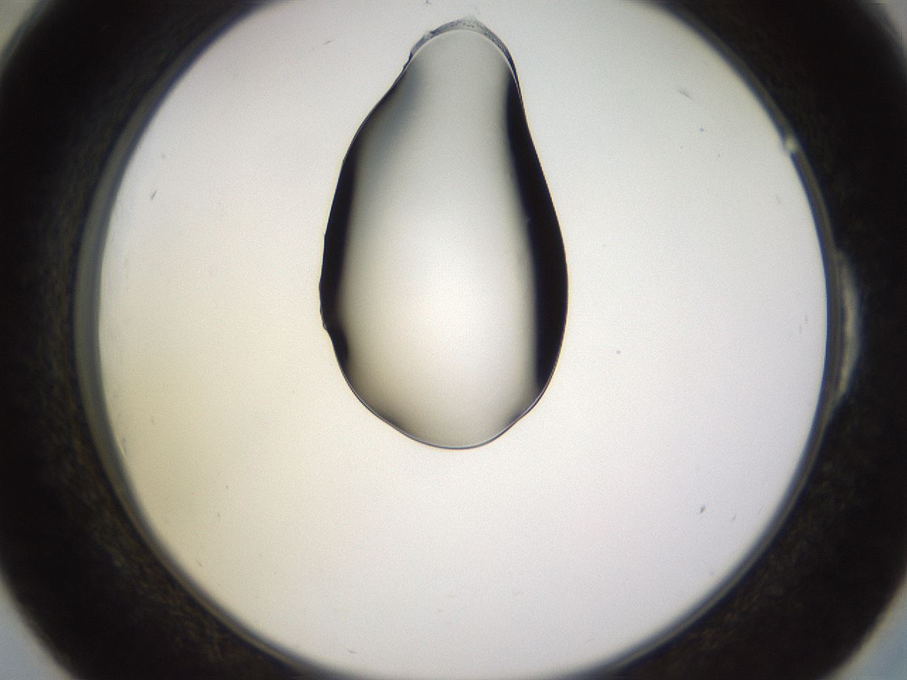 folderID565_plateID1565_batchID6312_wellNum54_profileID1_d2_r102143_ef.jpg