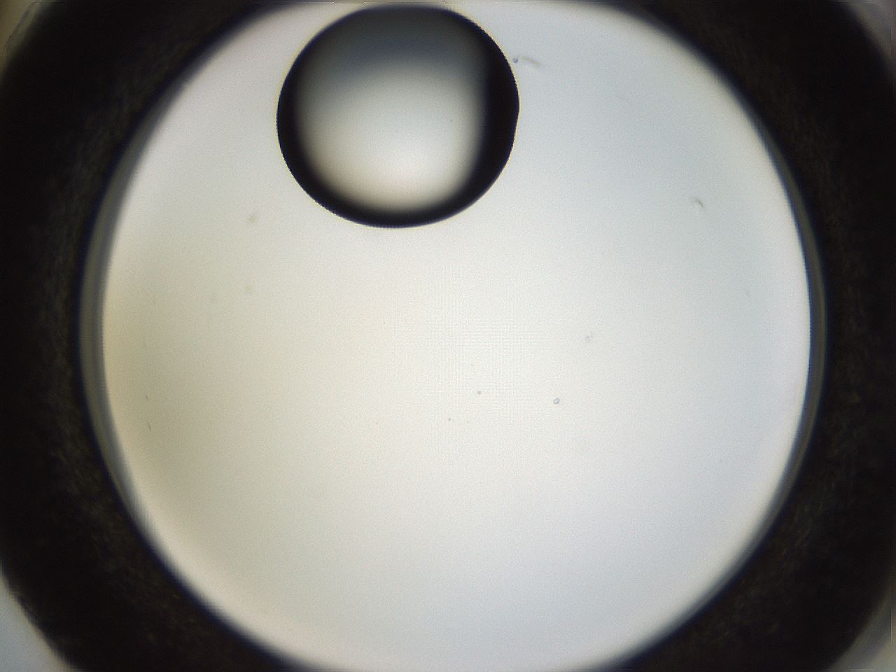 folderID565_plateID1565_batchID6312_wellNum74_profileID1_d2_r102183_ef.jpg