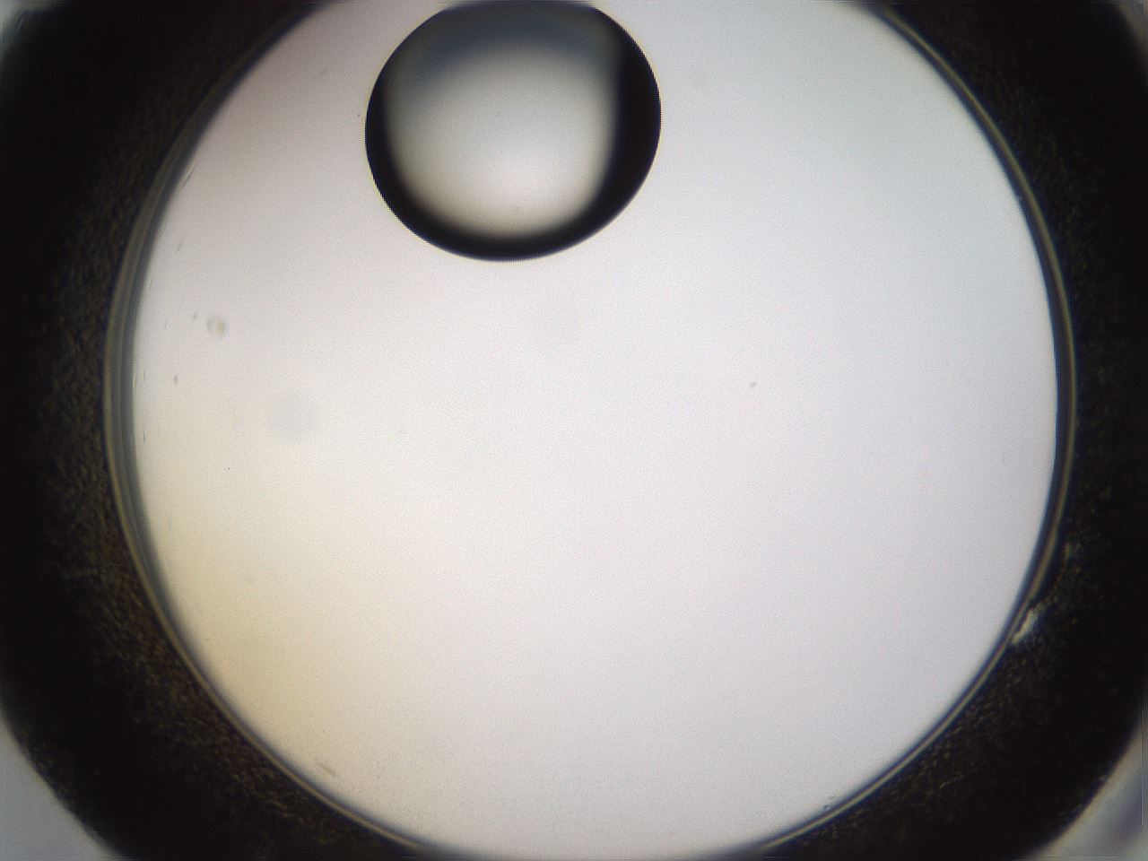 folderID565_plateID1565_batchID6312_wellNum83_profileID1_d2_r102201_ef.jpg
