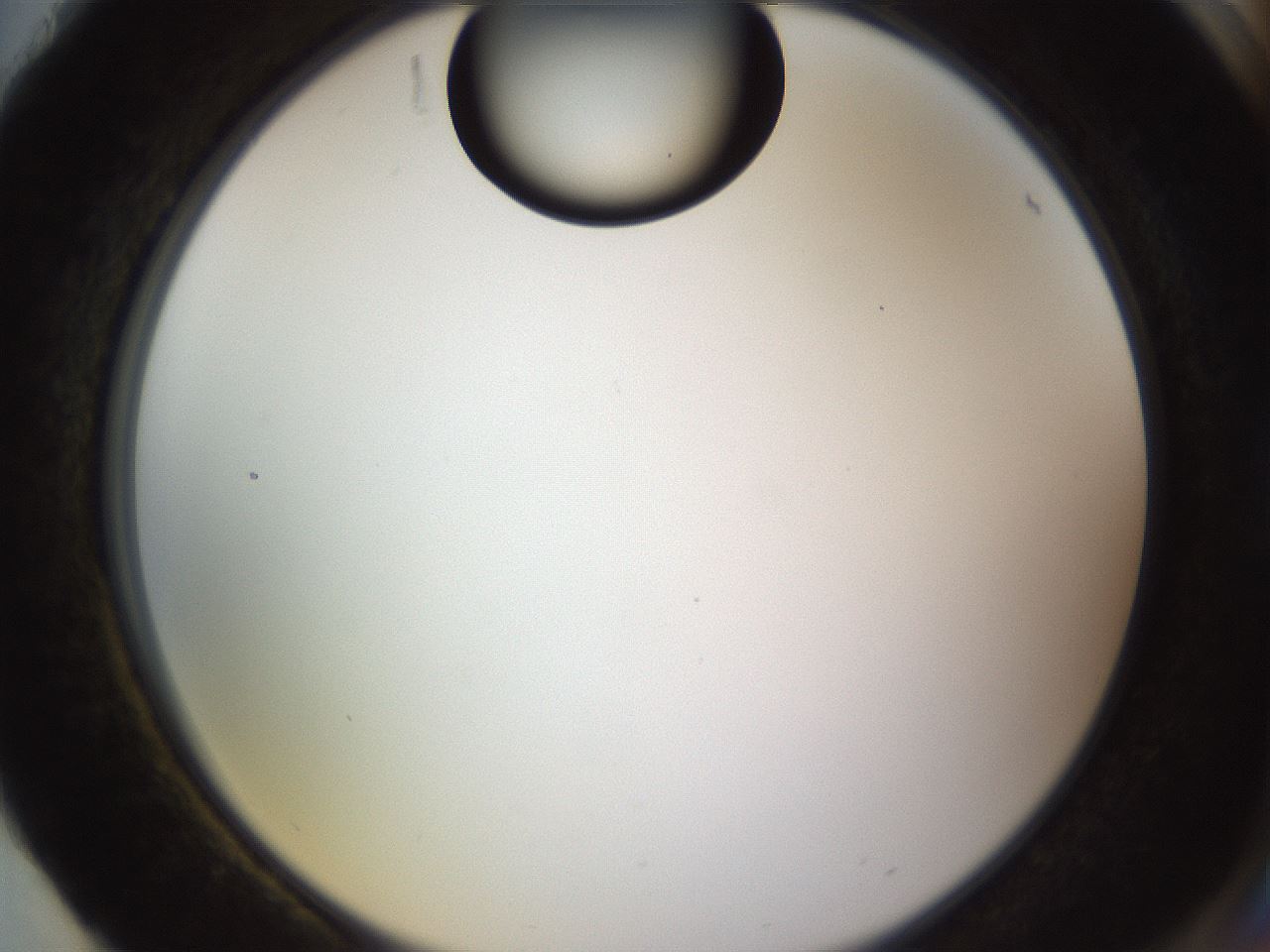 folderID565_plateID1565_batchID6312_wellNum88_profileID1_d2_r102211_ef.jpg