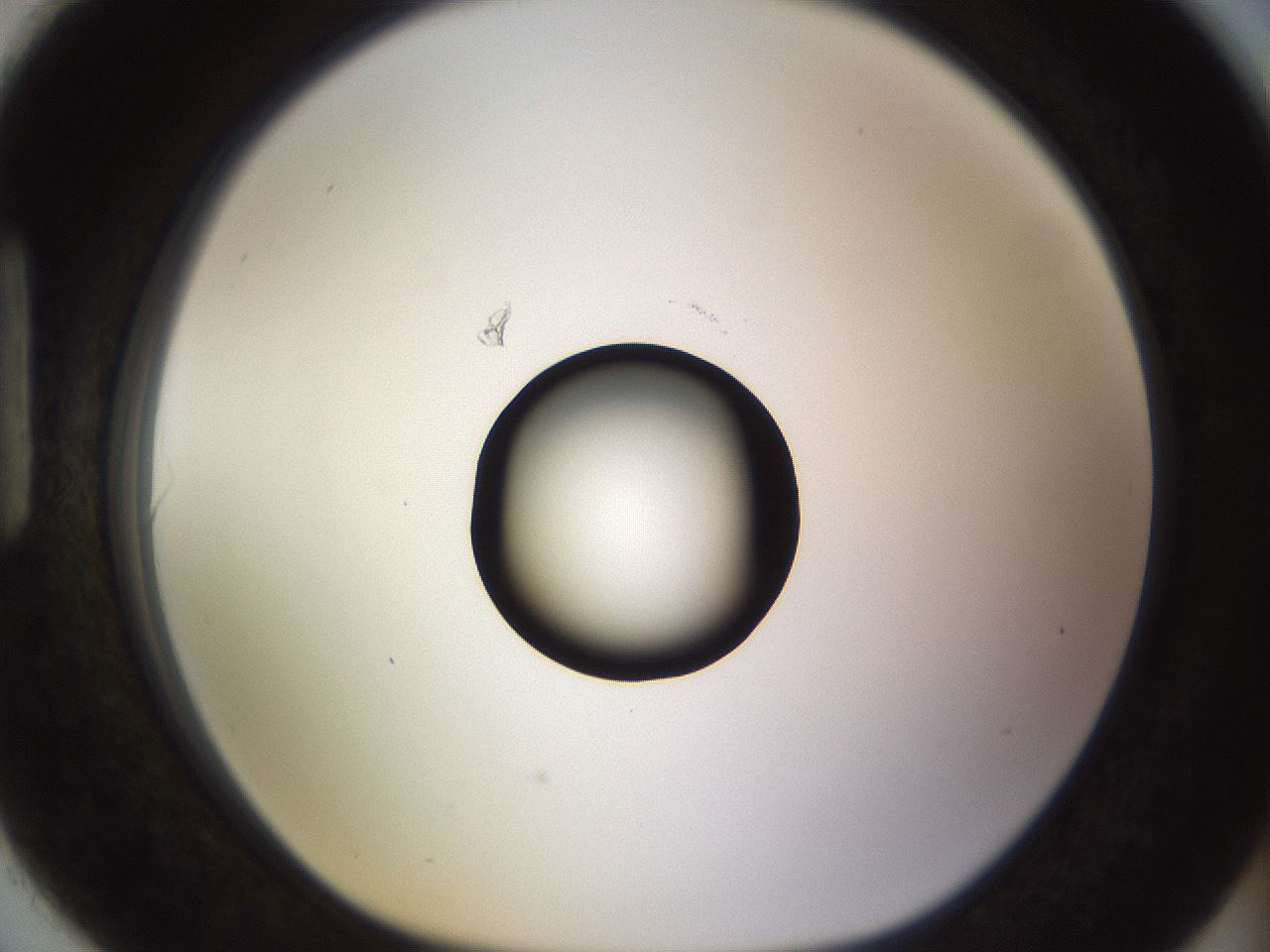 folderID565_plateID1565_batchID6312_wellNum90_profileID1_d1_r102214_ef.jpg