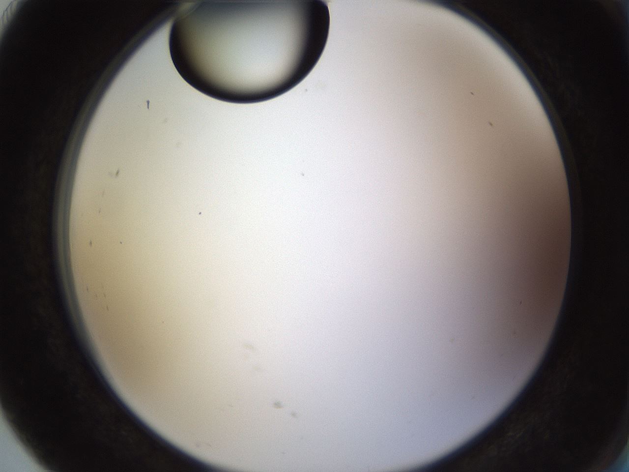folderID565_plateID1565_batchID6312_wellNum91_profileID1_d2_r102217_ef.jpg