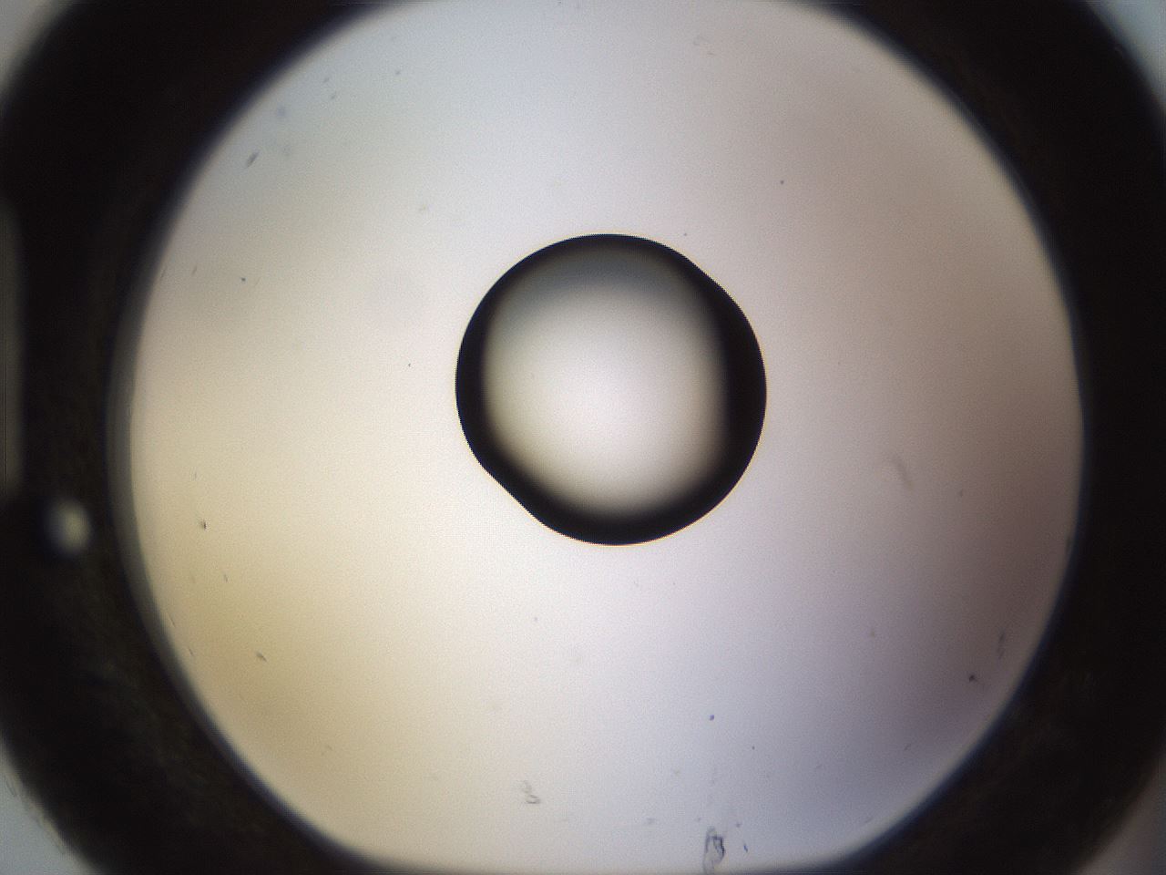 folderID565_plateID1565_batchID6312_wellNum92_profileID1_d1_r102218_ef.jpg