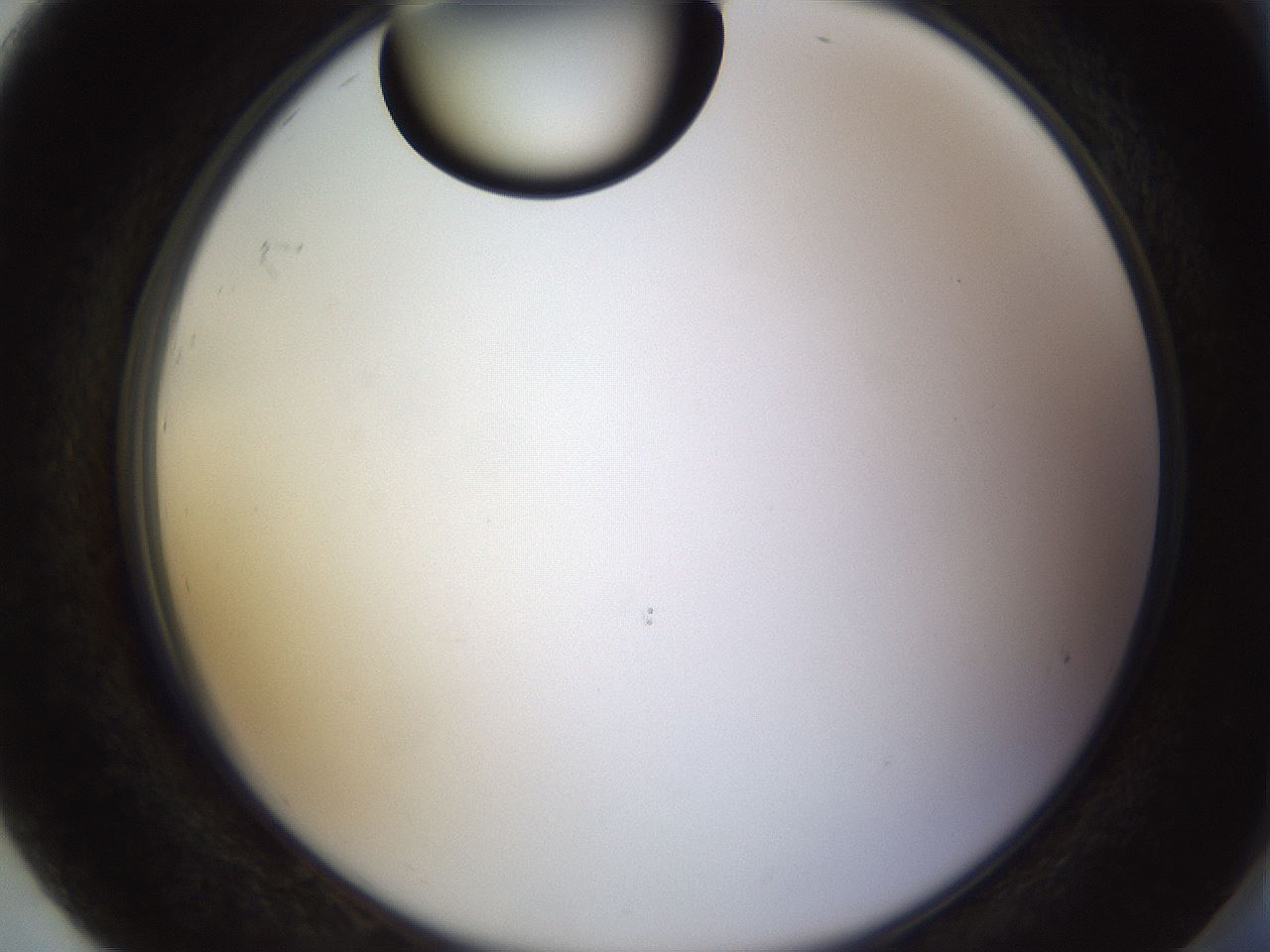 folderID565_plateID1565_batchID6312_wellNum92_profileID1_d2_r102219_ef.jpg