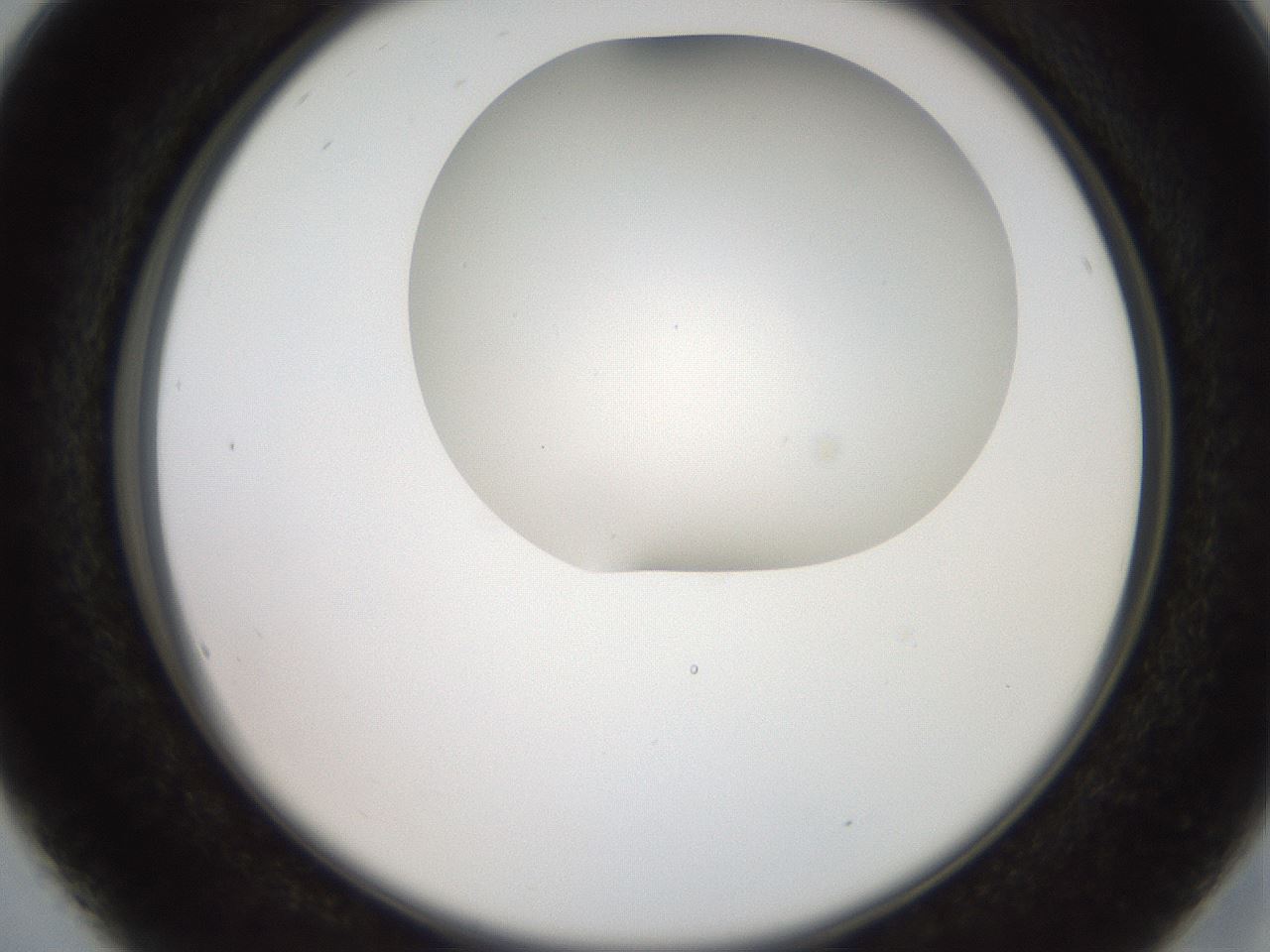 folderID565_plateID2565_batchID12848_wellNum16_profileID1_d2_r195864_ef.jpg