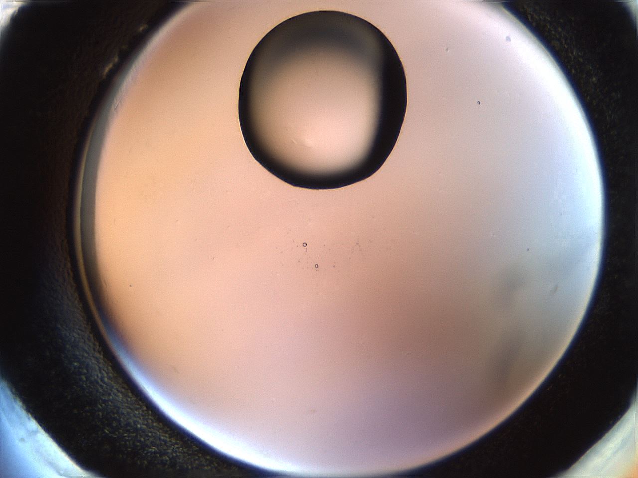 folderID565_plateID1565_batchID6312_wellNum96_profileID1_d2_r102227_ef.jpg