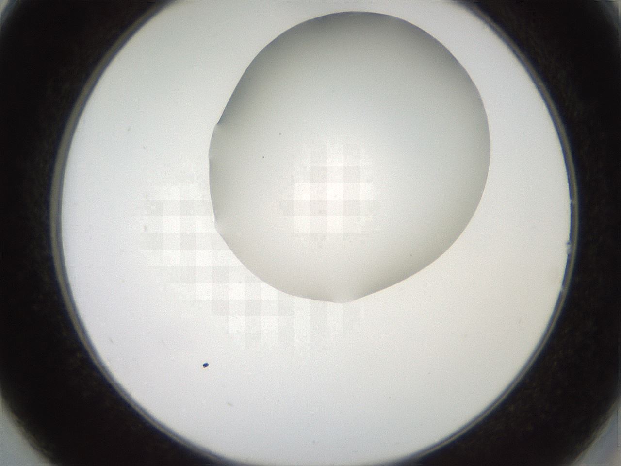 folderID565_plateID2565_batchID12848_wellNum14_profileID1_d2_r195862_ef.jpg