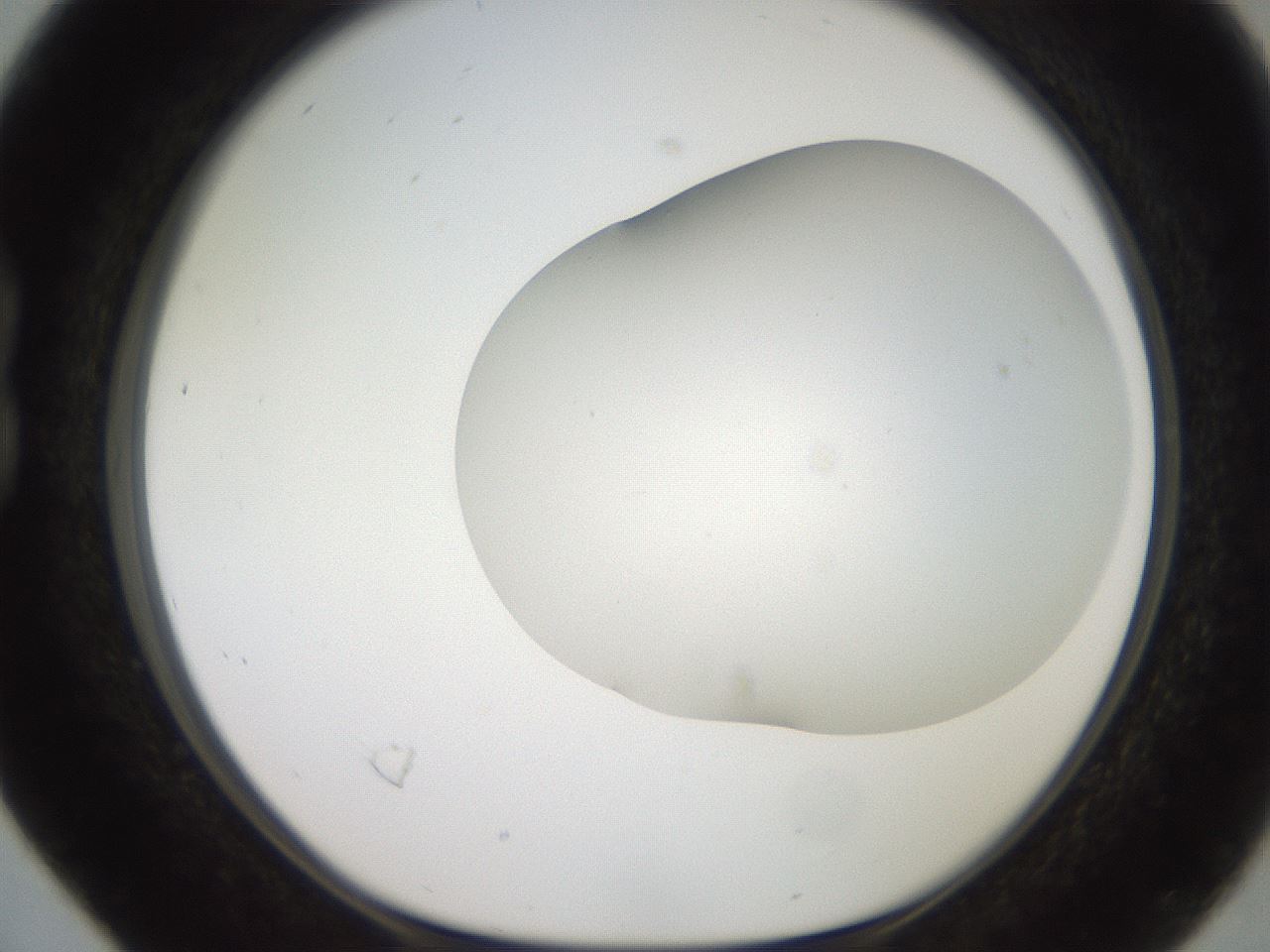 folderID565_plateID2565_batchID12848_wellNum16_profileID1_d1_r195000_ef.jpg