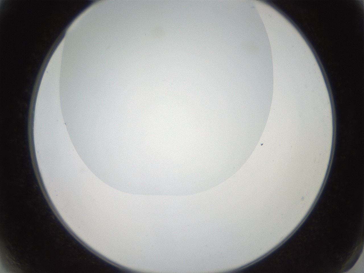 folderID565_plateID2565_batchID12848_wellNum2_profileID1_d2_r195850_ef.jpg