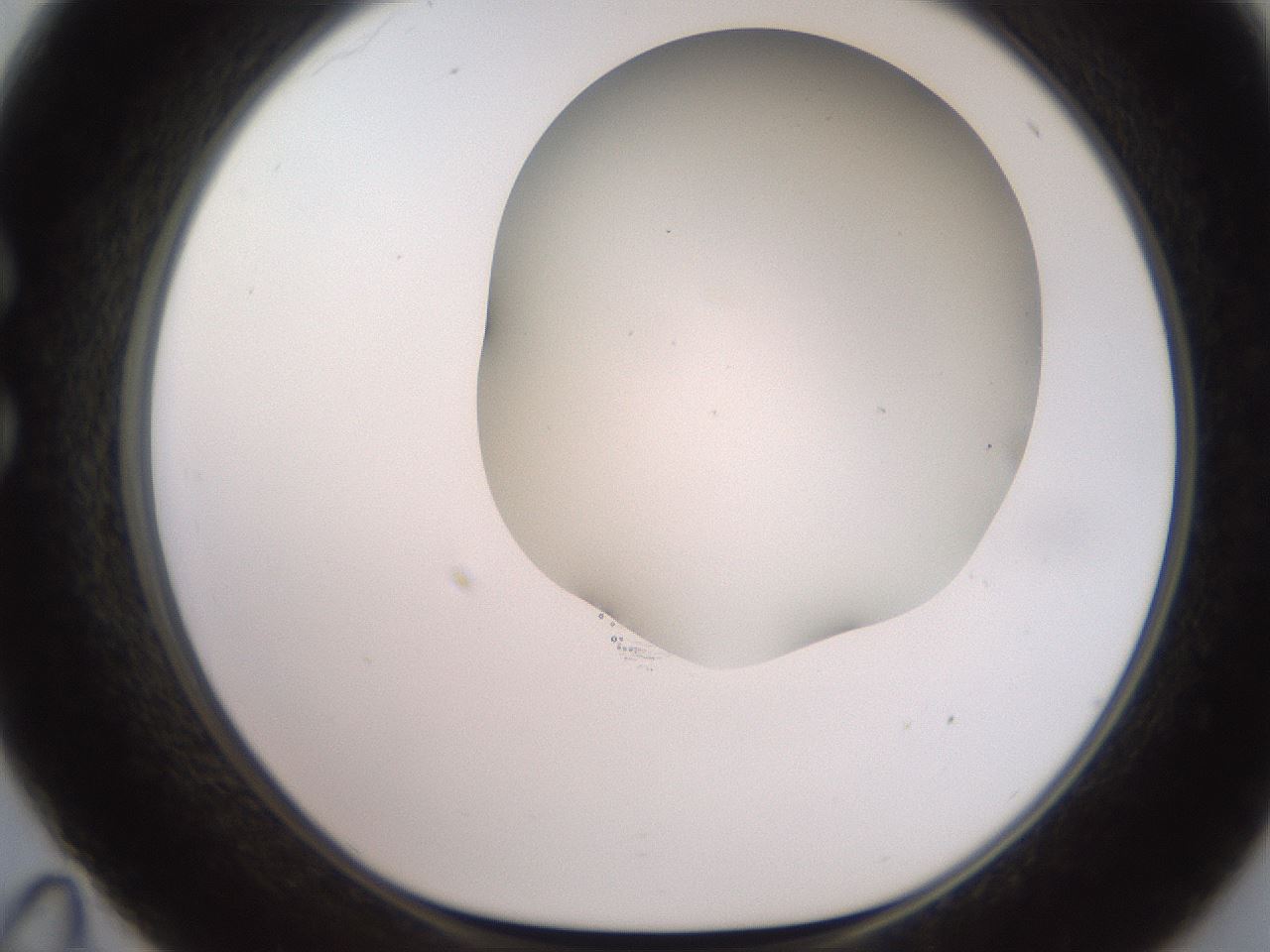 folderID565_plateID2565_batchID12848_wellNum35_profileID1_d1_r195019_ef.jpg