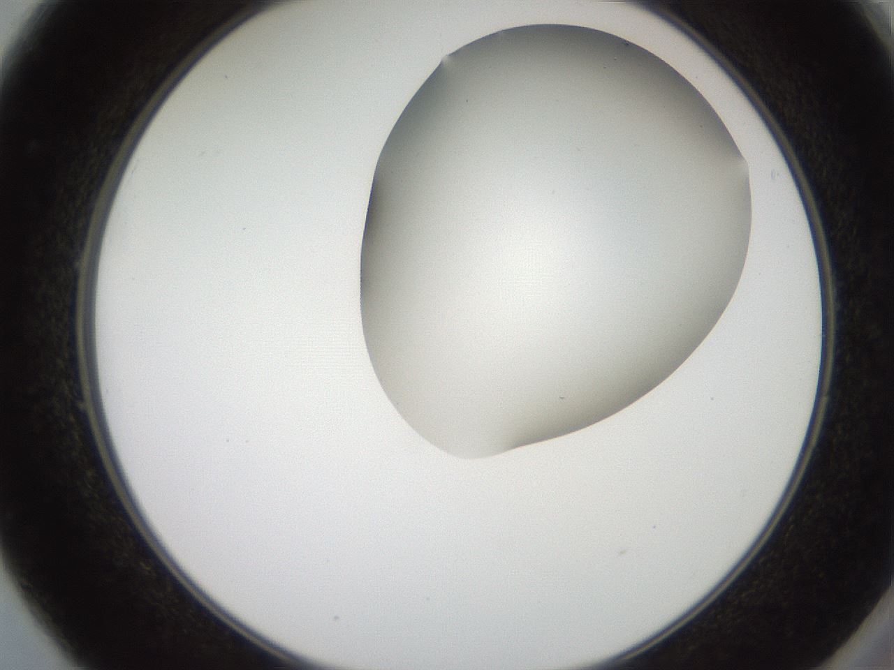 folderID565_plateID2565_batchID12848_wellNum49_profileID1_d2_r195897_ef.jpg