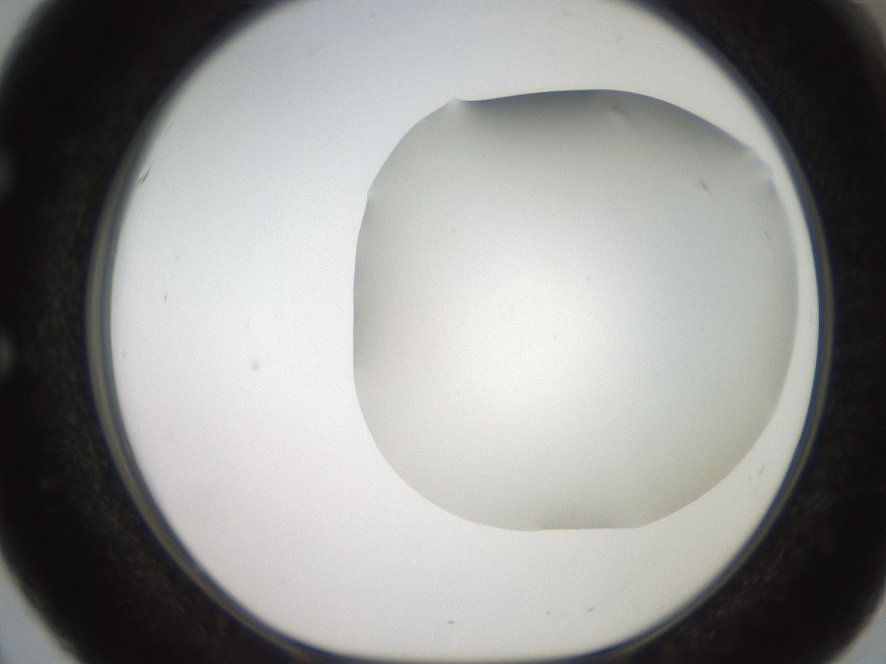 folderID565_plateID2565_batchID12848_wellNum51_profileID1_d1_r195035_ef.jpg