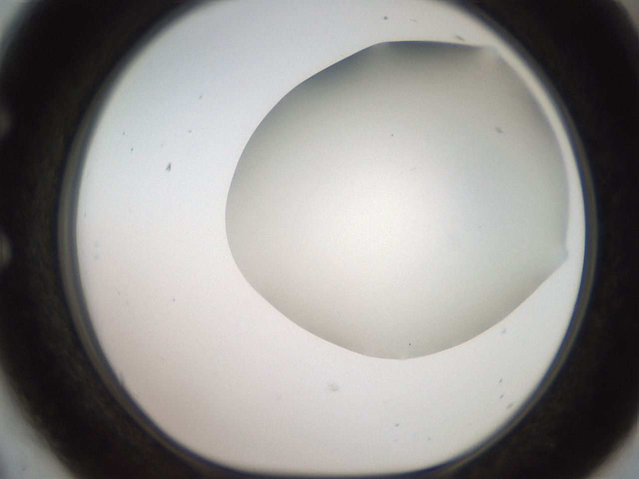 folderID565_plateID2565_batchID12848_wellNum54_profileID1_d1_r195038_ef.jpg