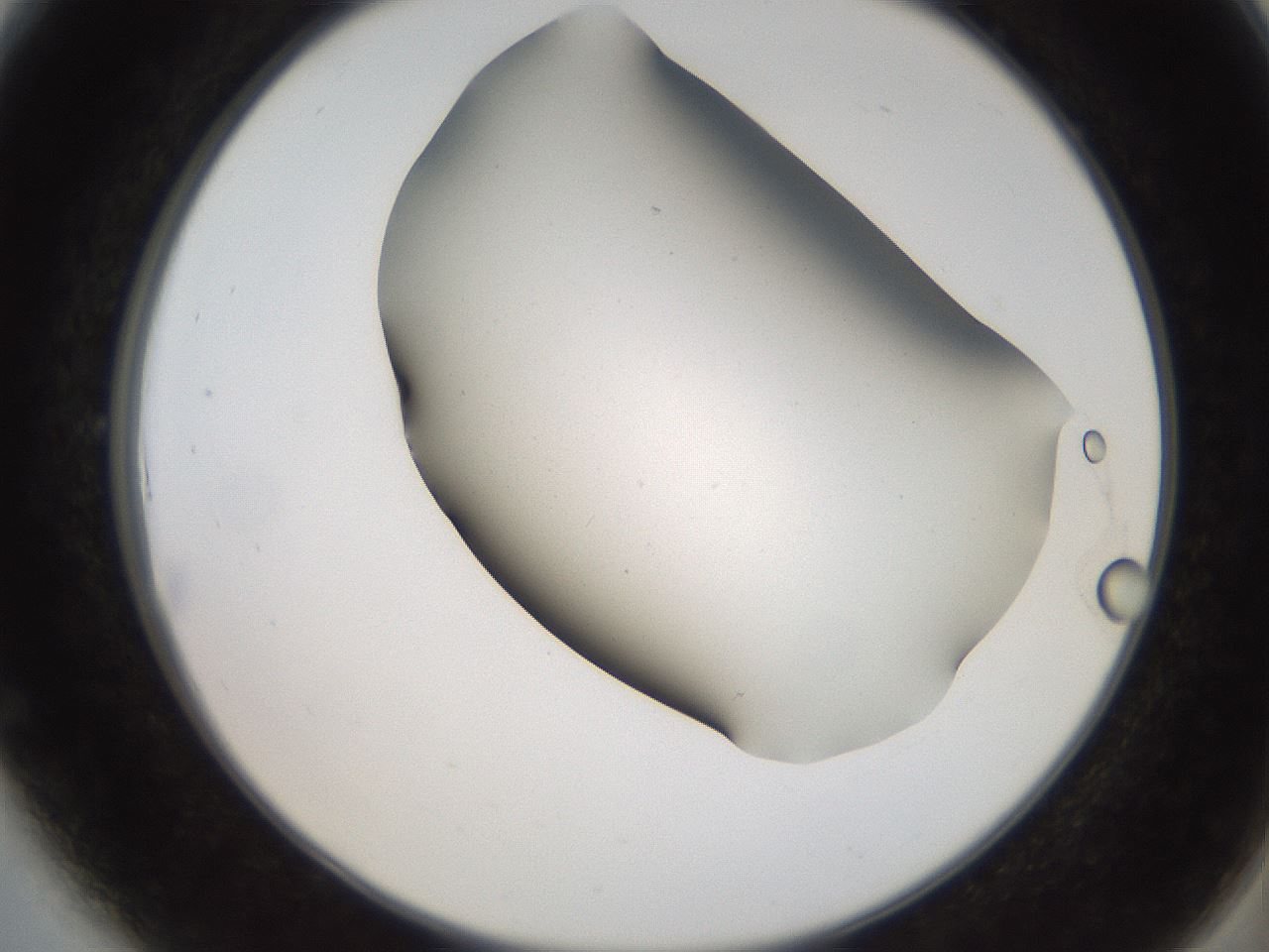 folderID565_plateID2565_batchID12848_wellNum6_profileID1_d2_r195854_ef.jpg