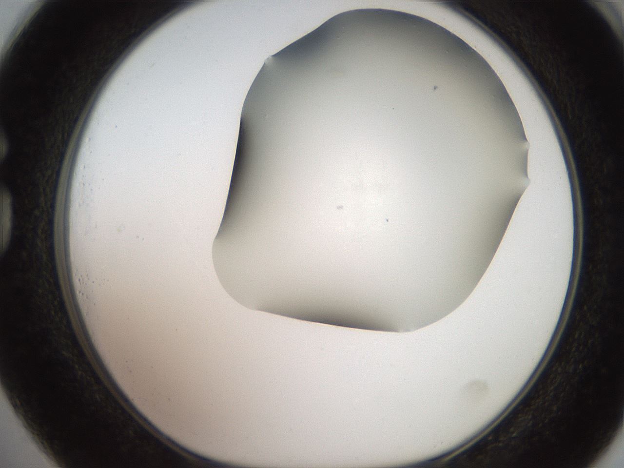 folderID565_plateID2565_batchID12848_wellNum73_profileID1_d1_r195057_ef.jpg
