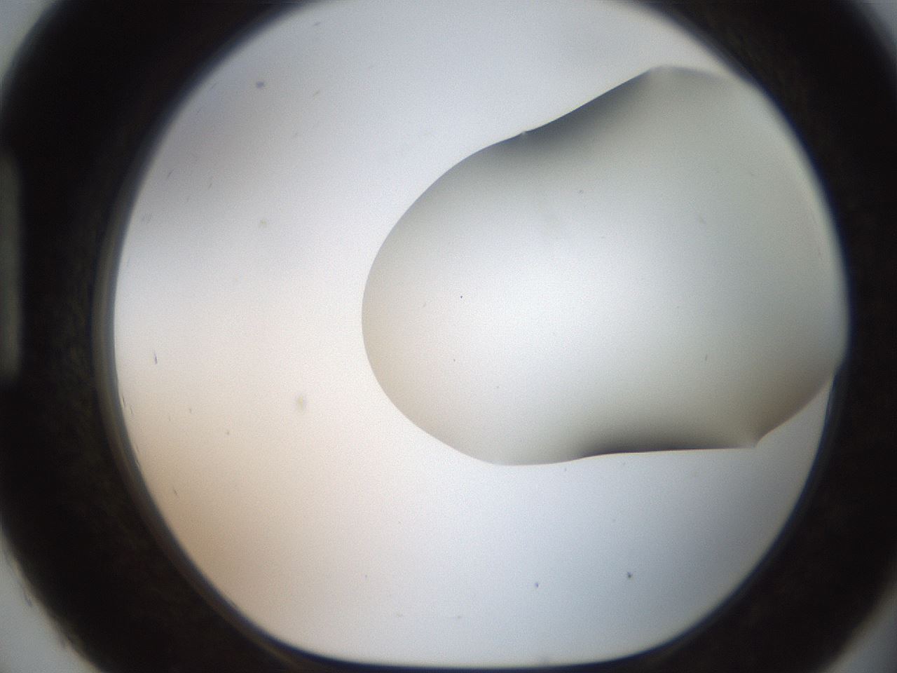folderID565_plateID2565_batchID12848_wellNum93_profileID1_d1_r195077_ef.jpg