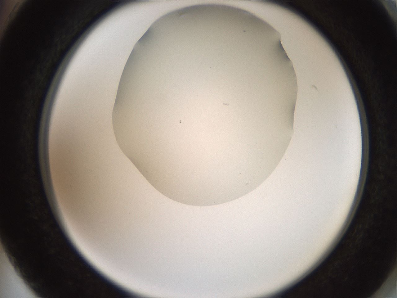 folderID565_plateID2565_batchID12848_wellNum74_profileID1_d2_r195922_ef.jpg
