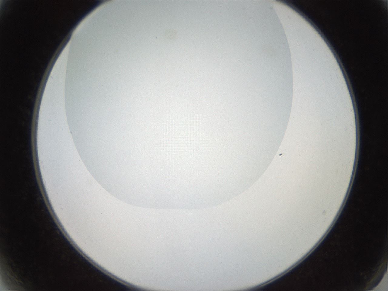 folderID565_plateID2565_batchID13019_wellNum2_profileID1_d2_r195850_ef.jpg