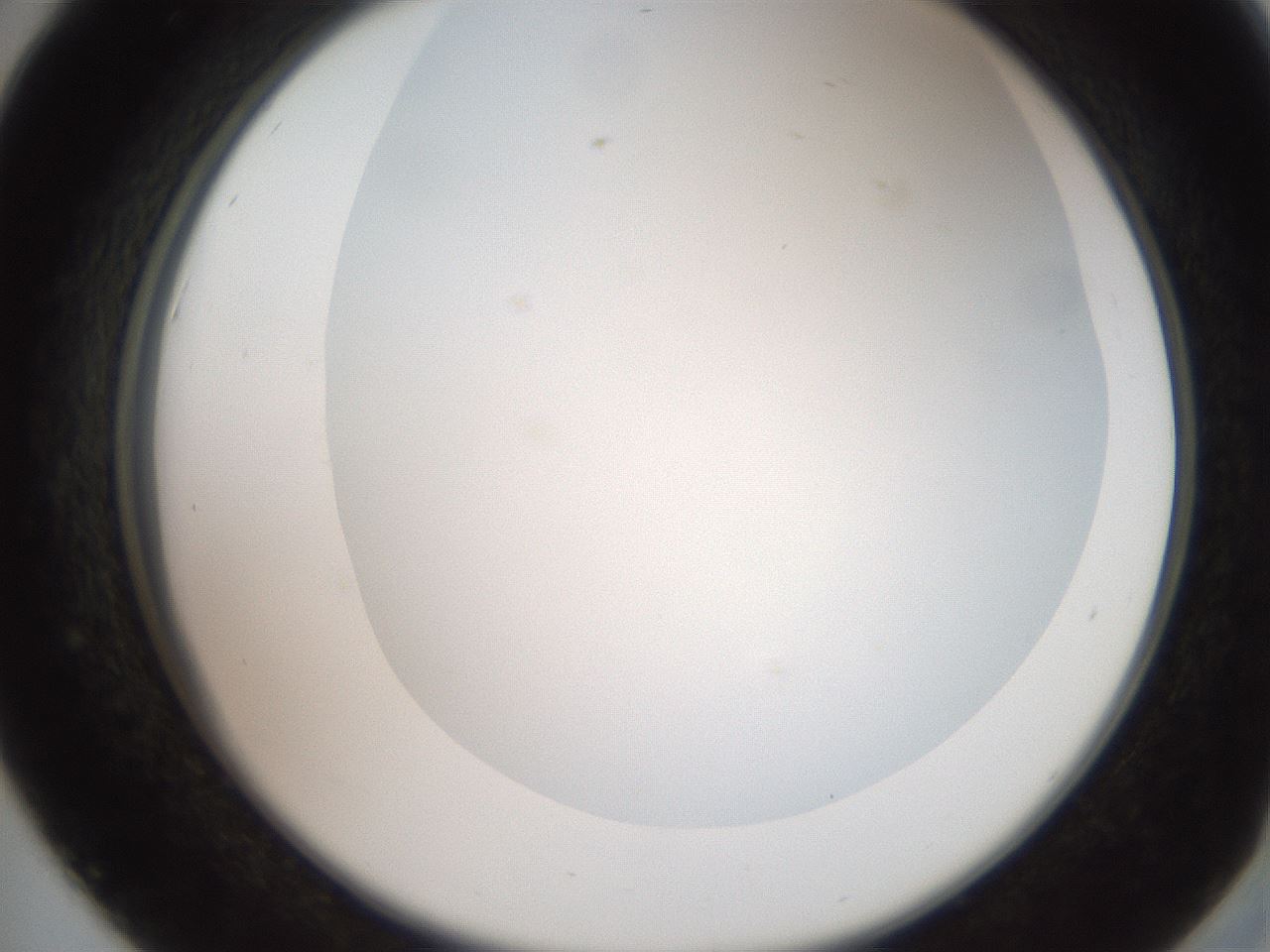 folderID565_plateID2565_batchID13019_wellNum42_profileID1_d2_r195890_ef.jpg