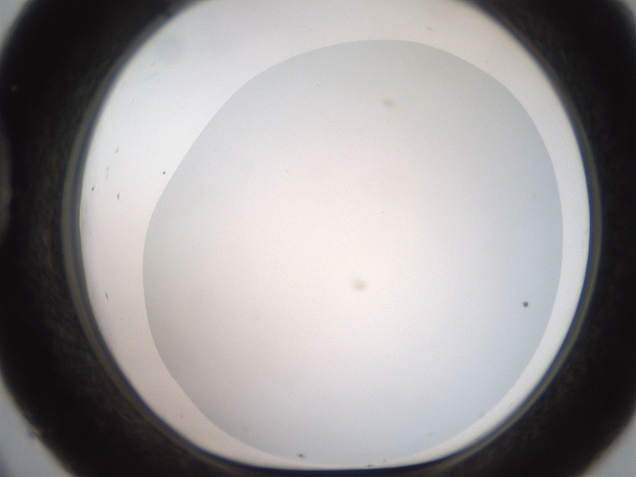 folderID565_plateID2565_batchID13019_wellNum45_profileID1_d1_r195029_ef.jpg